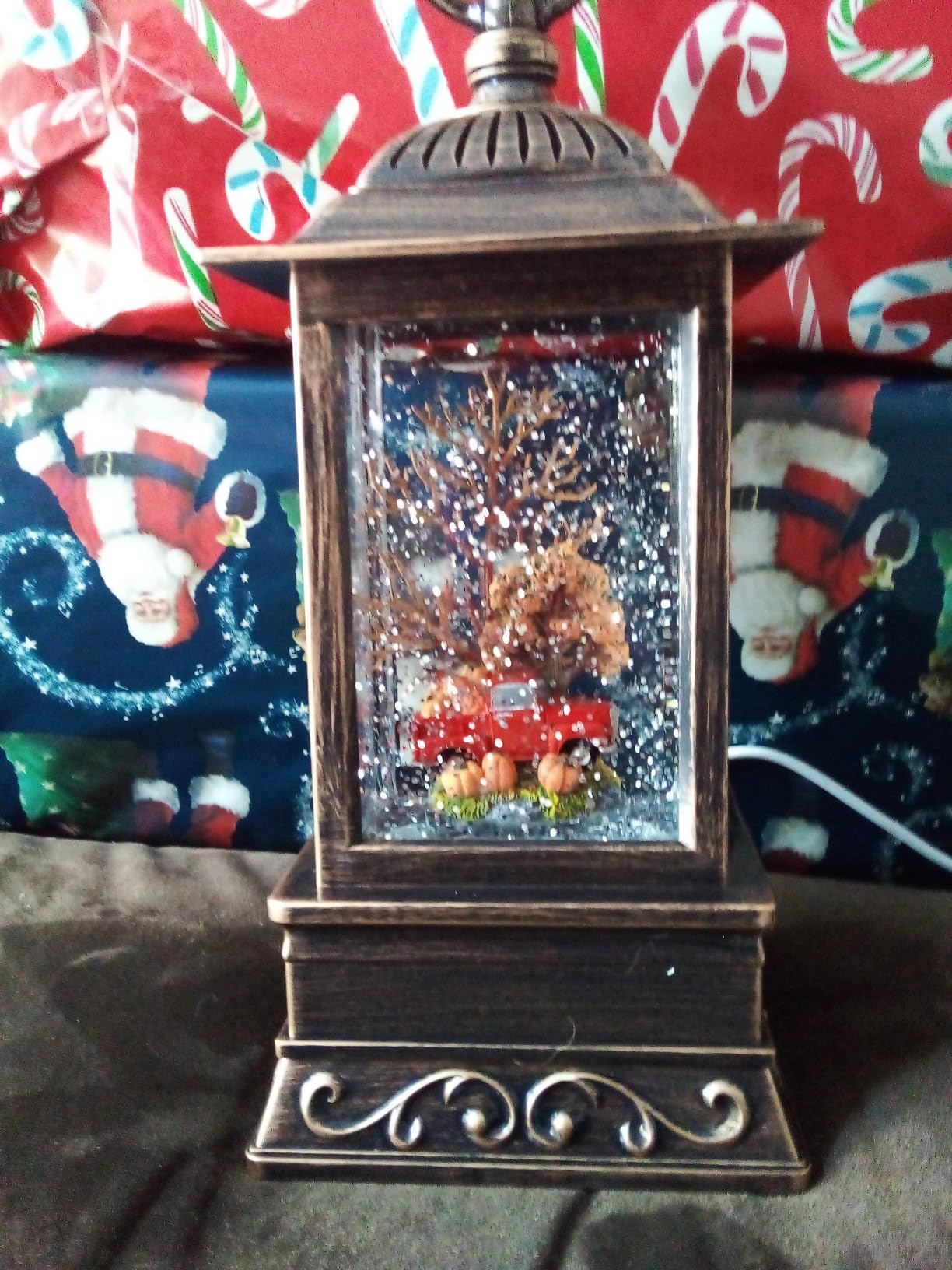 Eyrosa Cardinal Snow Globe, Musical Lighted Glitter Christmas Snow Globes, Christmas Decorations USB and Battery Operated Lantern with Music, Decor customer photo 2