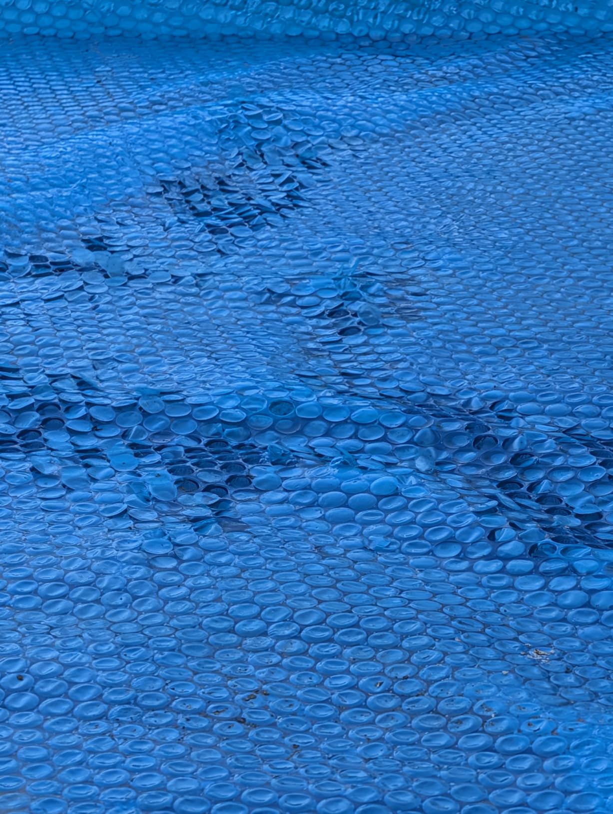 In The Swim 18' Standard Blue Round Solar Pool Cover 8 Mil customer photo 1