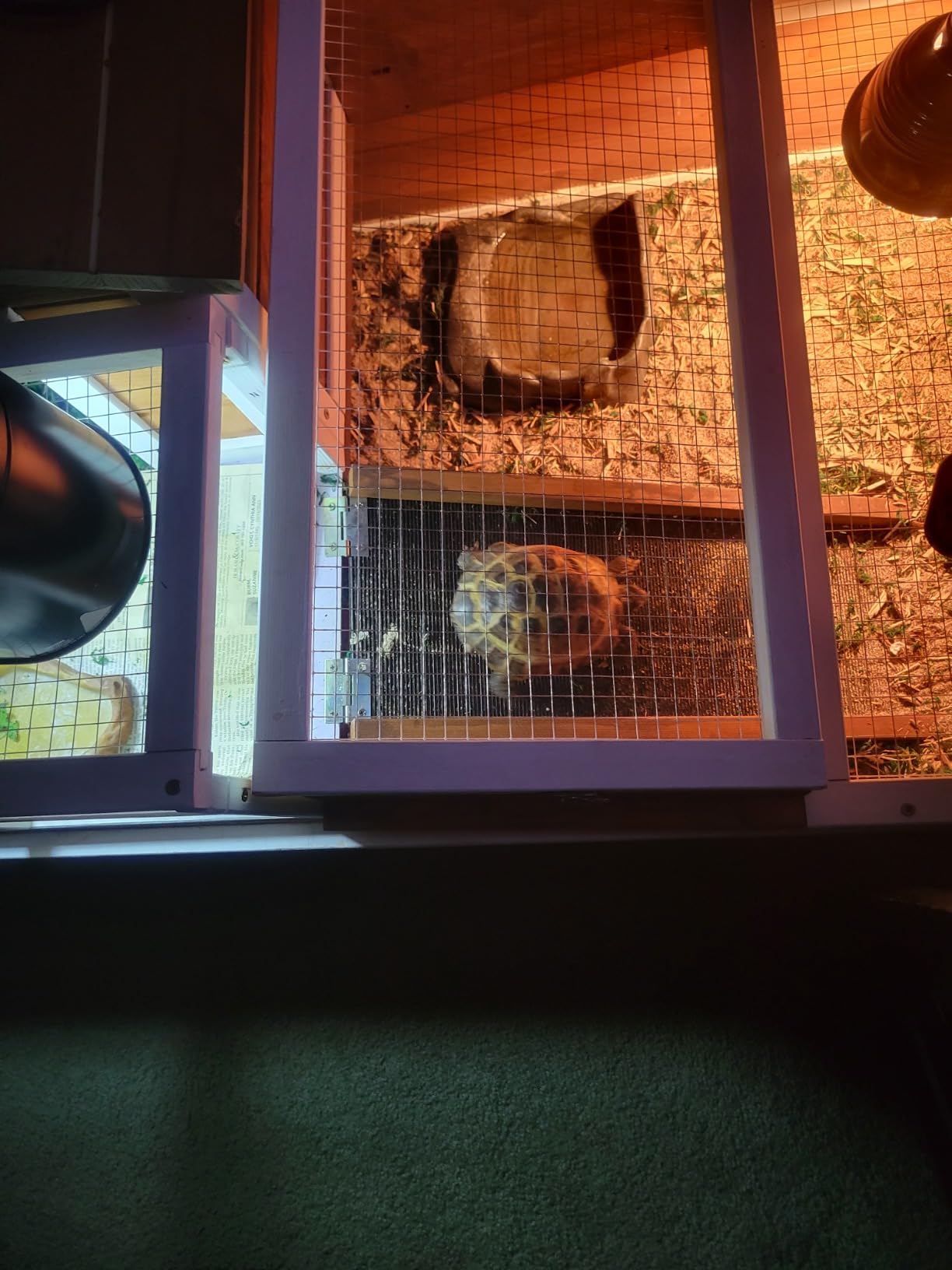 PawHut 3- Room Tortoise House Habitat with Balcony 44