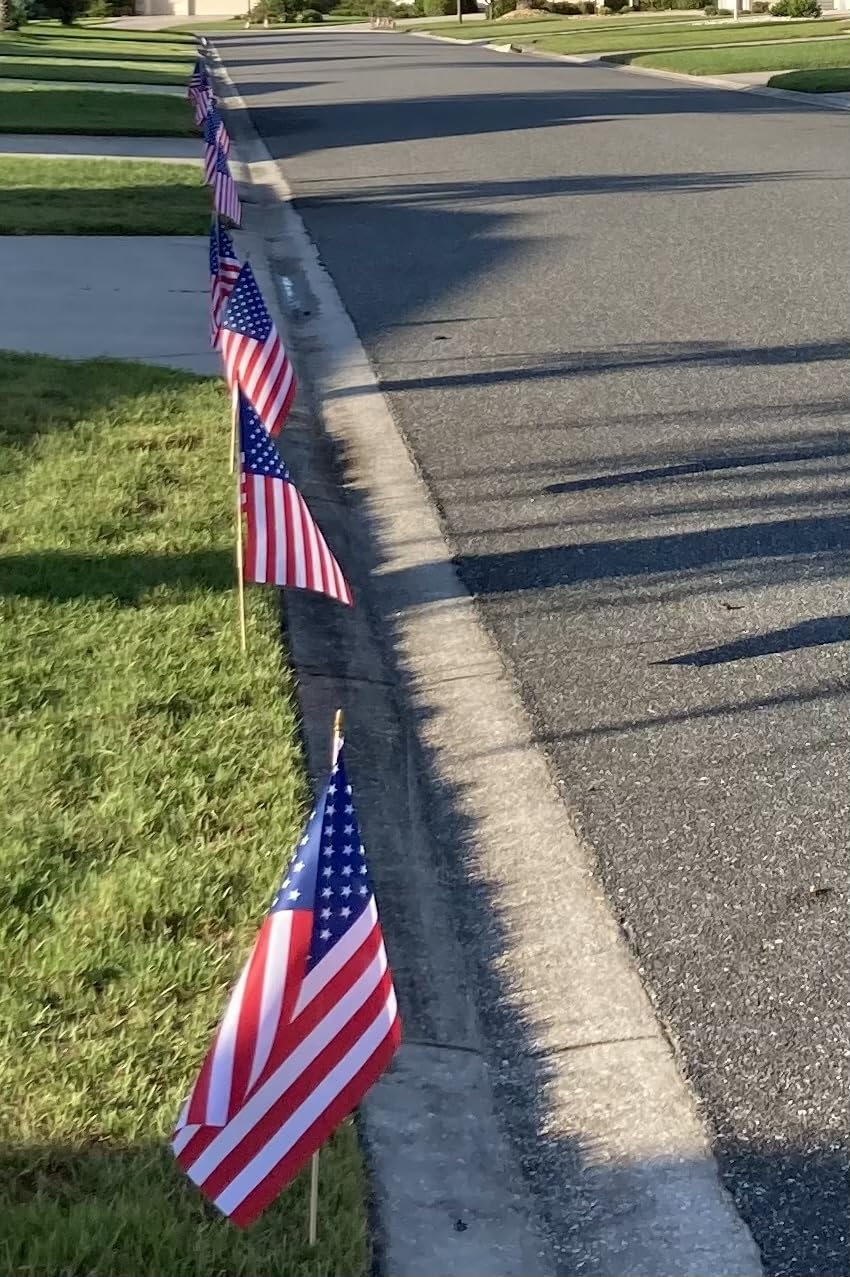 12 Pcs 12x18 Inch American Flags on Stick for Outside Multi-Purpose Use | USA Stick Flag with Handheld and Grounded Flagpole, Labor Day Decorations, Patriotic 250th Anniversary 4th of July Decor customer photo 1