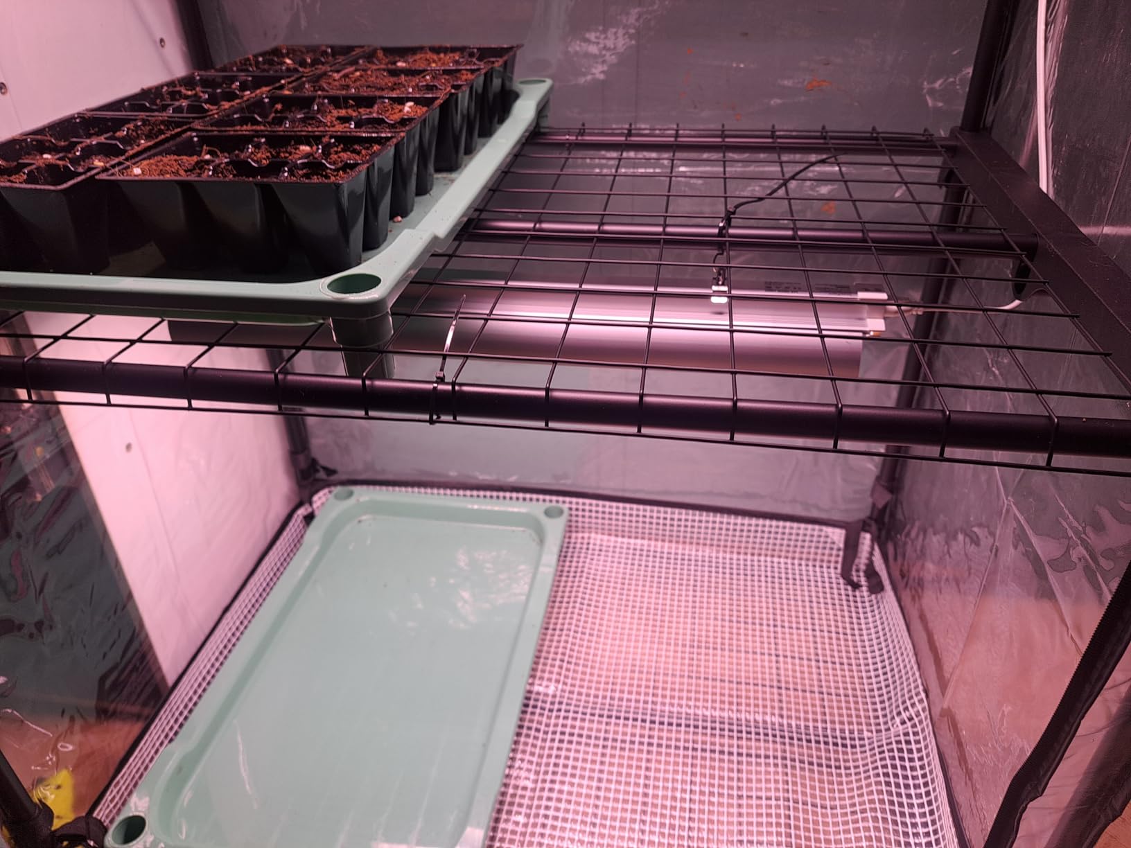 Indoor Greenhouse with Grow Light, 4-Tier Shelf, 26.4x19x61in customer photo 1