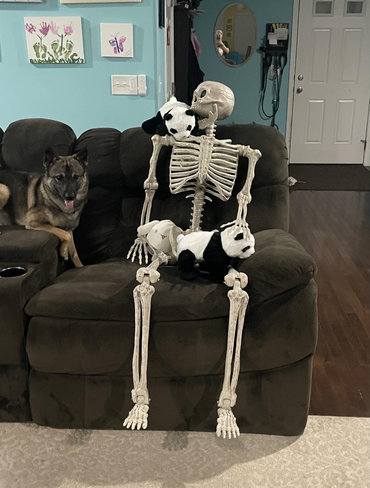 JOYIN 5.6 FT Halloween Posable Life Size Skeleton, Full Body Realistic Bones with Movable Joints, Giant Skeletons Halloween Decorations for Indoor Outdoor Haunted House Props, Spooky Scene Party Decor customer photo 1