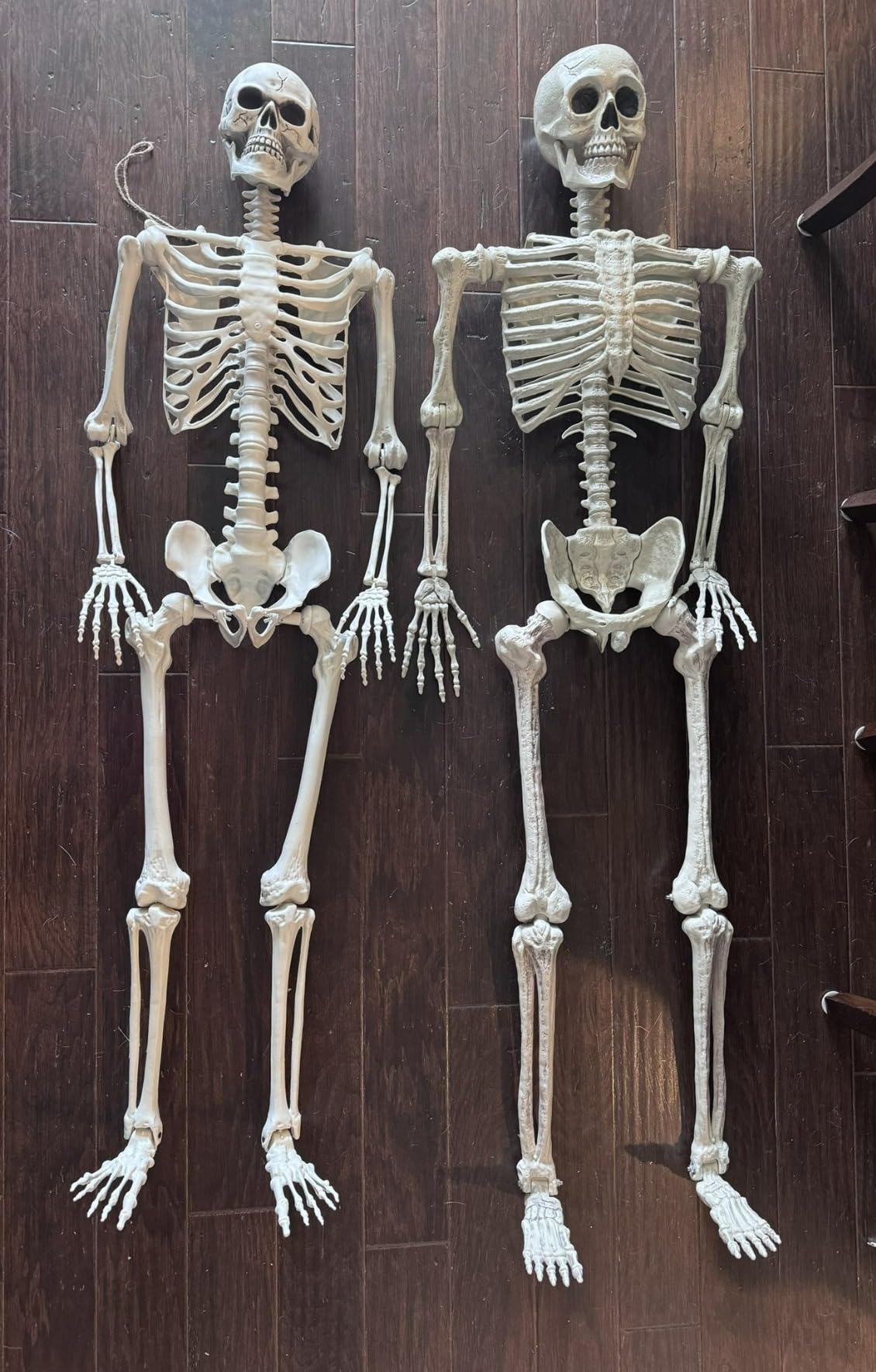 JOYIN 5.6 FT Halloween Posable Life Size Skeleton, Full Body Realistic Bones with Movable Joints, Giant Skeletons Halloween Decorations for Indoor Outdoor Haunted House Props, Spooky Scene Party Decor customer photo 2