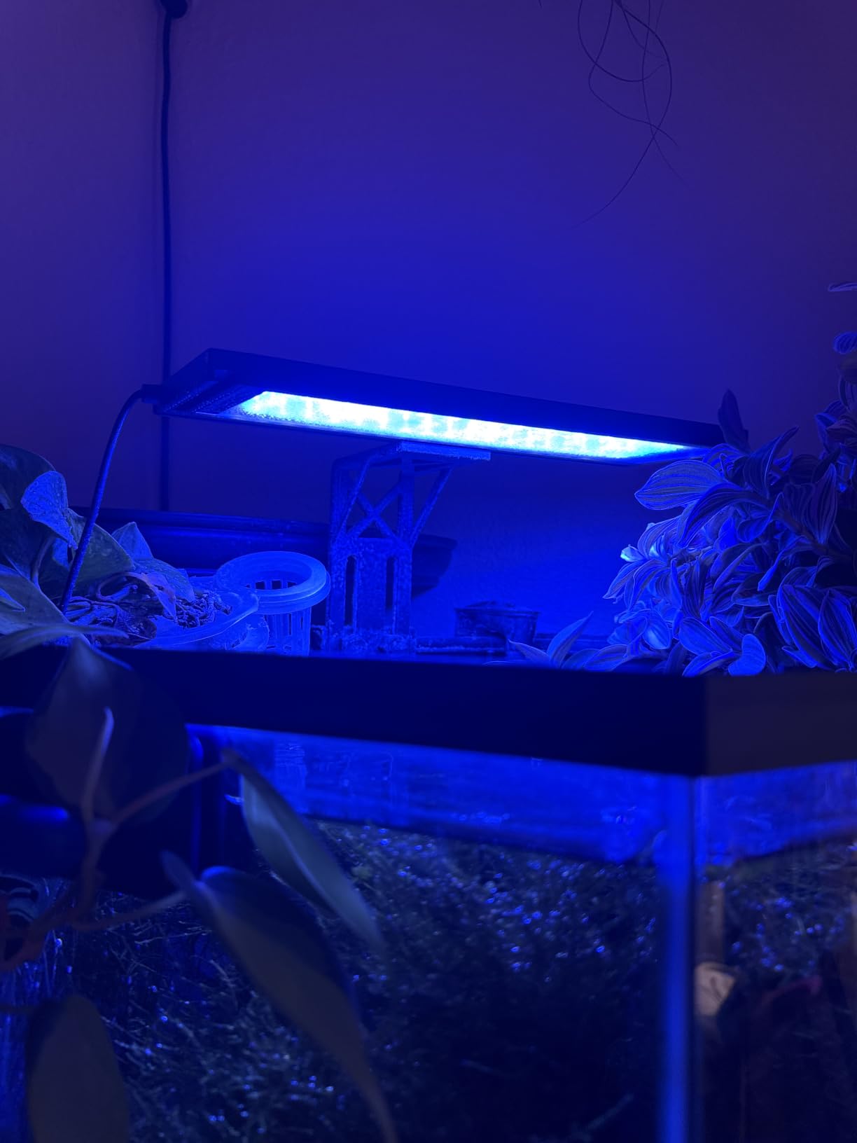 SEAOURA Clip On Aquarium Light for Plants-24/7 Fish Tank Light, 12-20 Inch customer photo 1