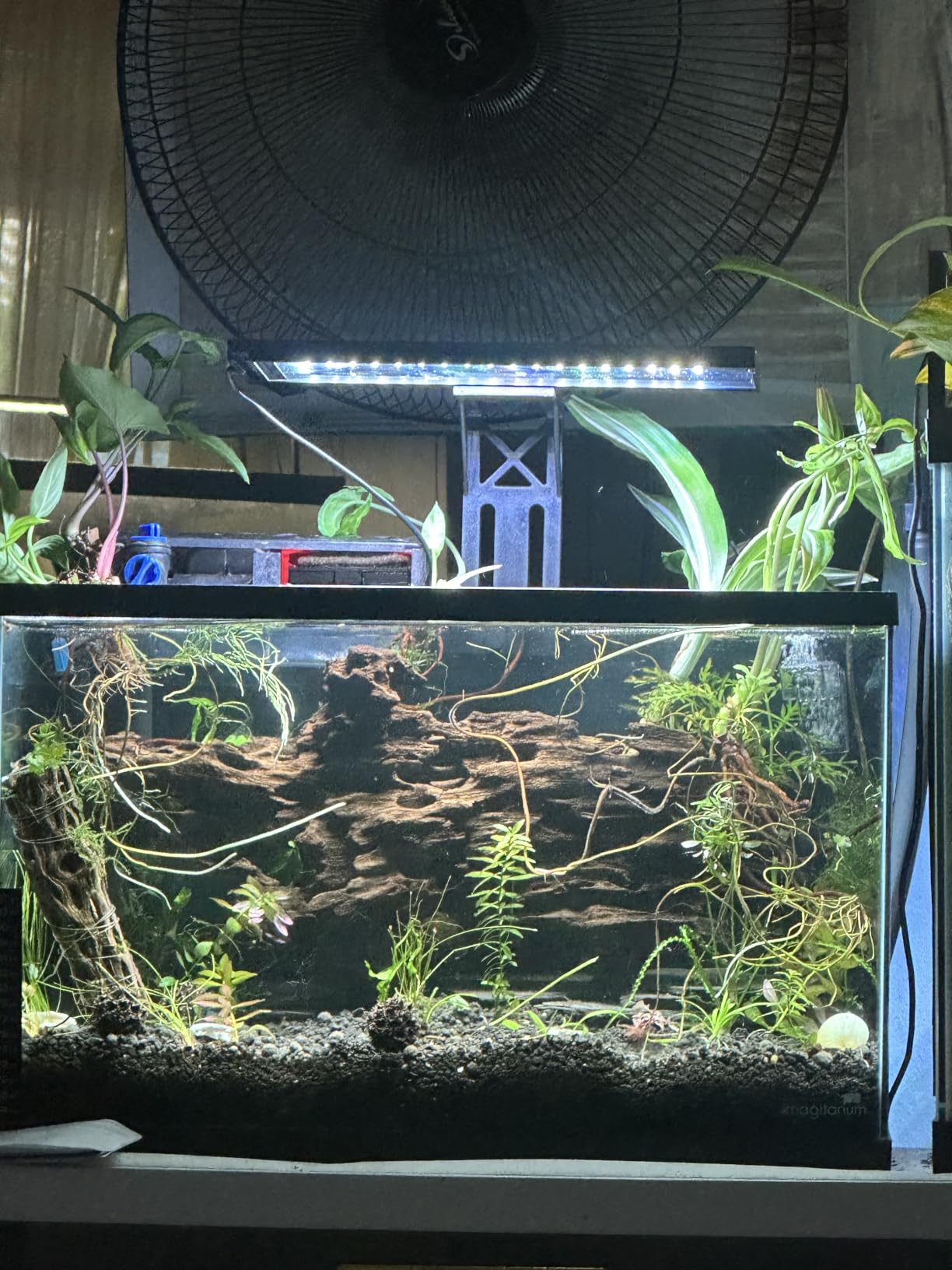 SEAOURA Clip On Aquarium Light for Plants-24/7 Fish Tank Light, 12-20 Inch customer photo 2