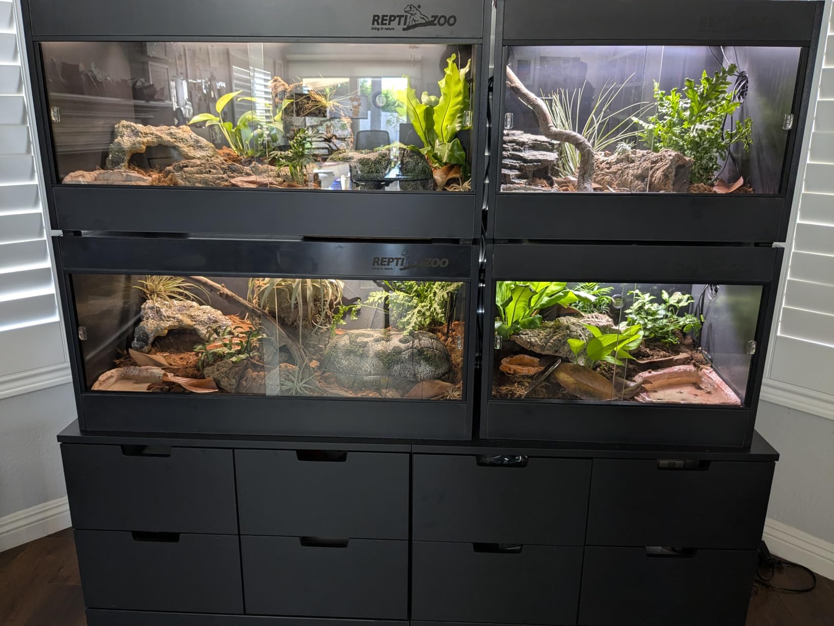 REPTI ZOO 50 Gallon PVC Reptile Enclosure, 36x18x18 inch Reptile Tank for Ball Python Bearded Dragon Snake Gecko, Reptile Terrarium Lounge Habitat with Glass Sliding Door & Top Screen Ventilation customer photo 2