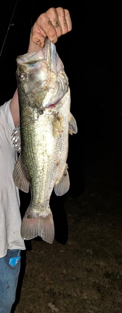 Berkley PowerBait Nessie Fishing Soft Bait customer photo 1