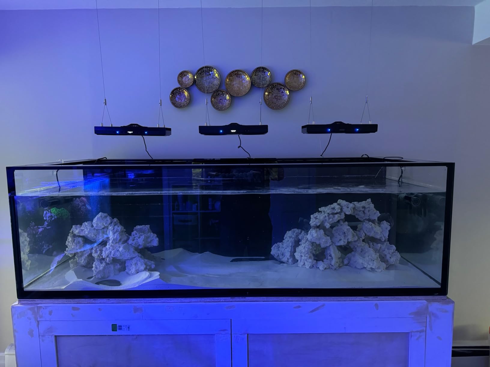 Aquarium Light- 140W Reef Light Wide Coverage Sunrise Sunset Moonlight Saltwater Lights for Coral with Master Slave Group Control & Timer & Screen customer photo 2