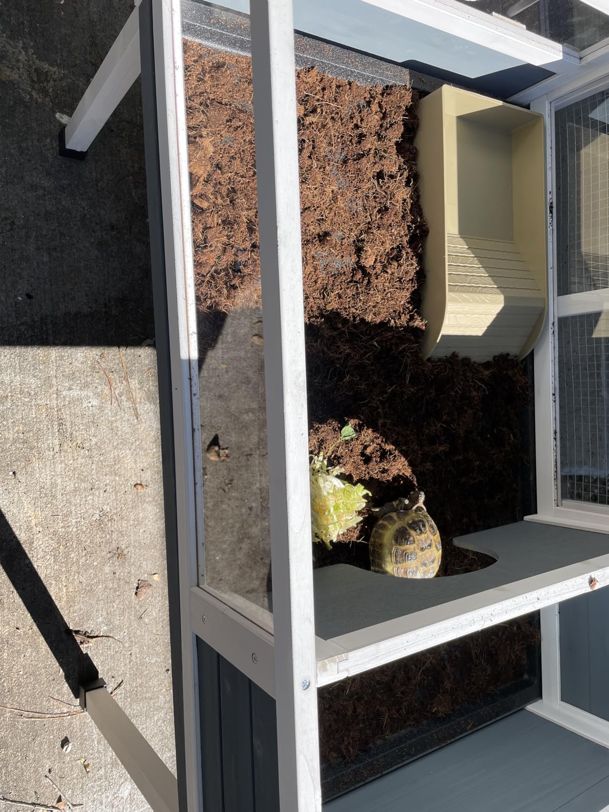 Tortoise Enclosure Indoor Wooden Tortoise Habitat, Adjustable Lamp Stand customer photo 2