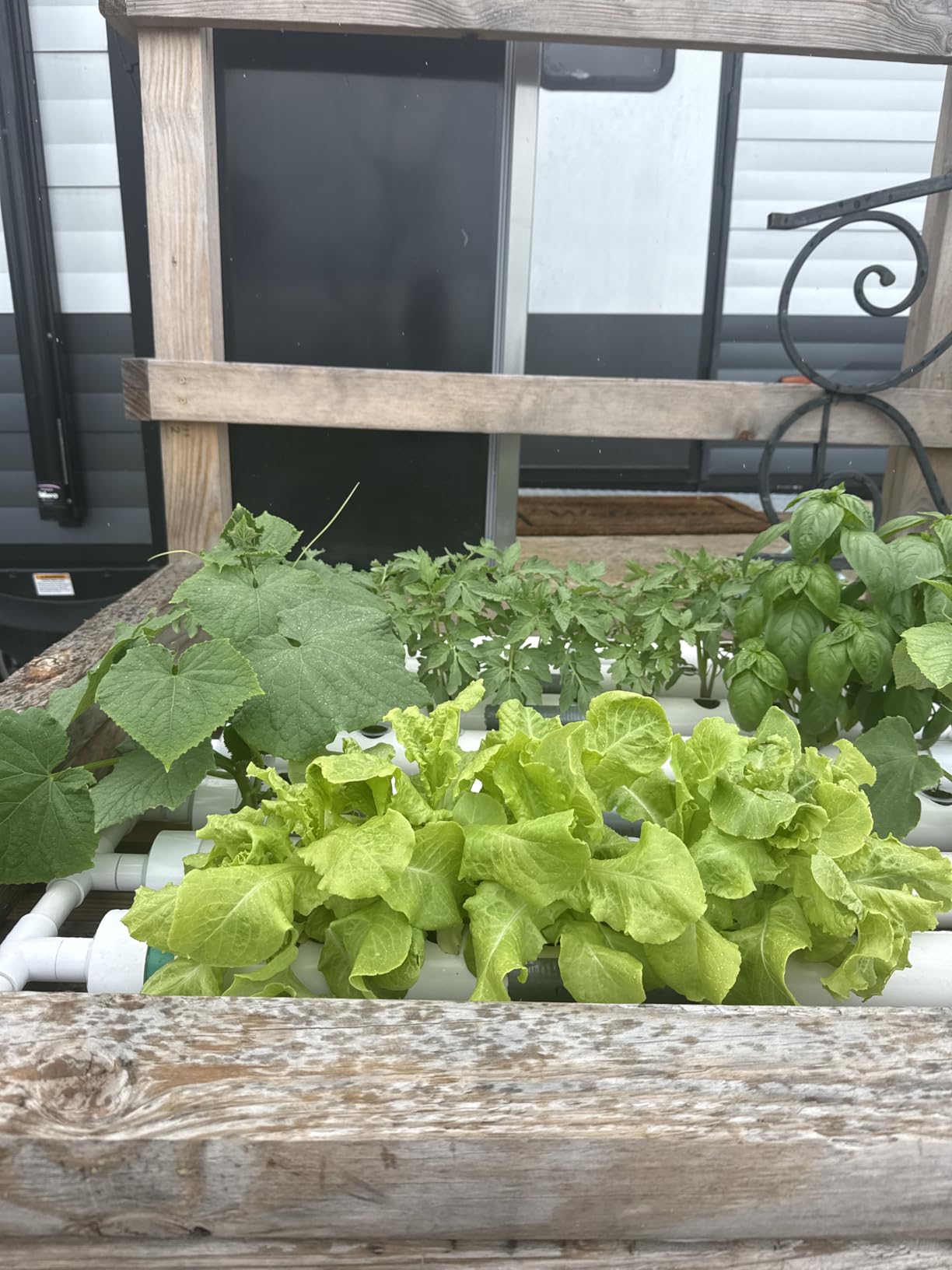 INTBUYING Hydroponics Growing System 72 Holes 8 Pipes 1 Layer Plant Site Grow Kit with 110V Water Pump, Nest Basket, Sponge for Leafy Vegetables customer photo 1