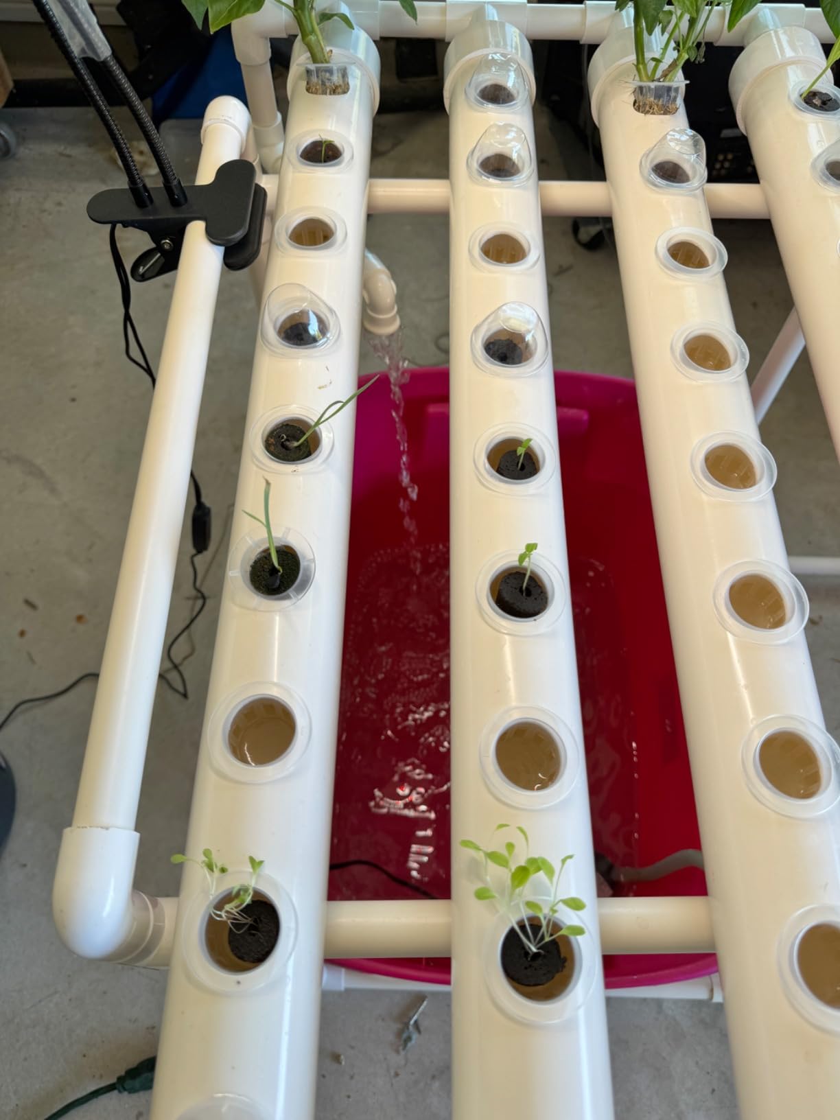 INTBUYING Hydroponics Growing System 72 Holes 8 Pipes 1 Layer Plant Site Grow Kit with 110V Water Pump, Nest Basket, Sponge for Leafy Vegetables customer photo 2