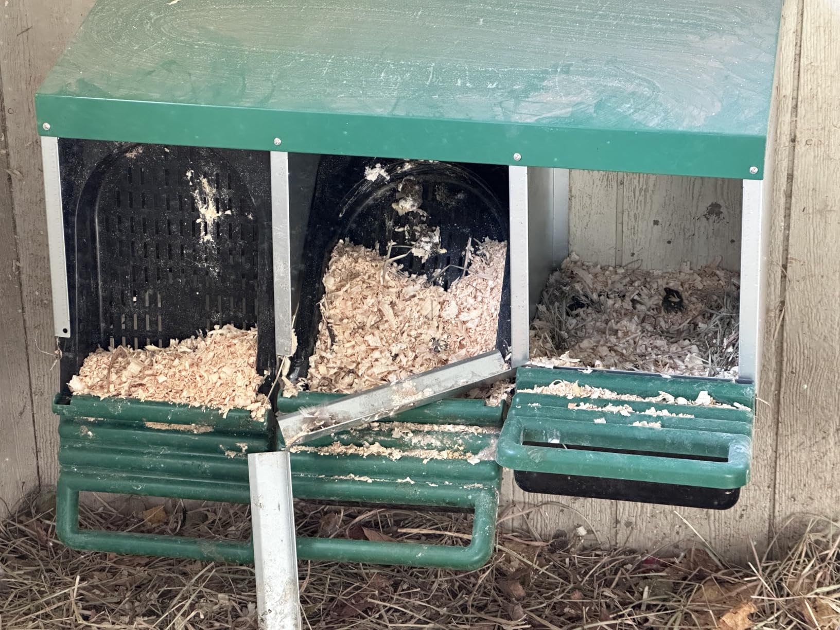 Eggluuz Chicken Nesting Box, 3 Compartments Chickens Egg Laying Nest Boxes for Hens Green customer photo 2