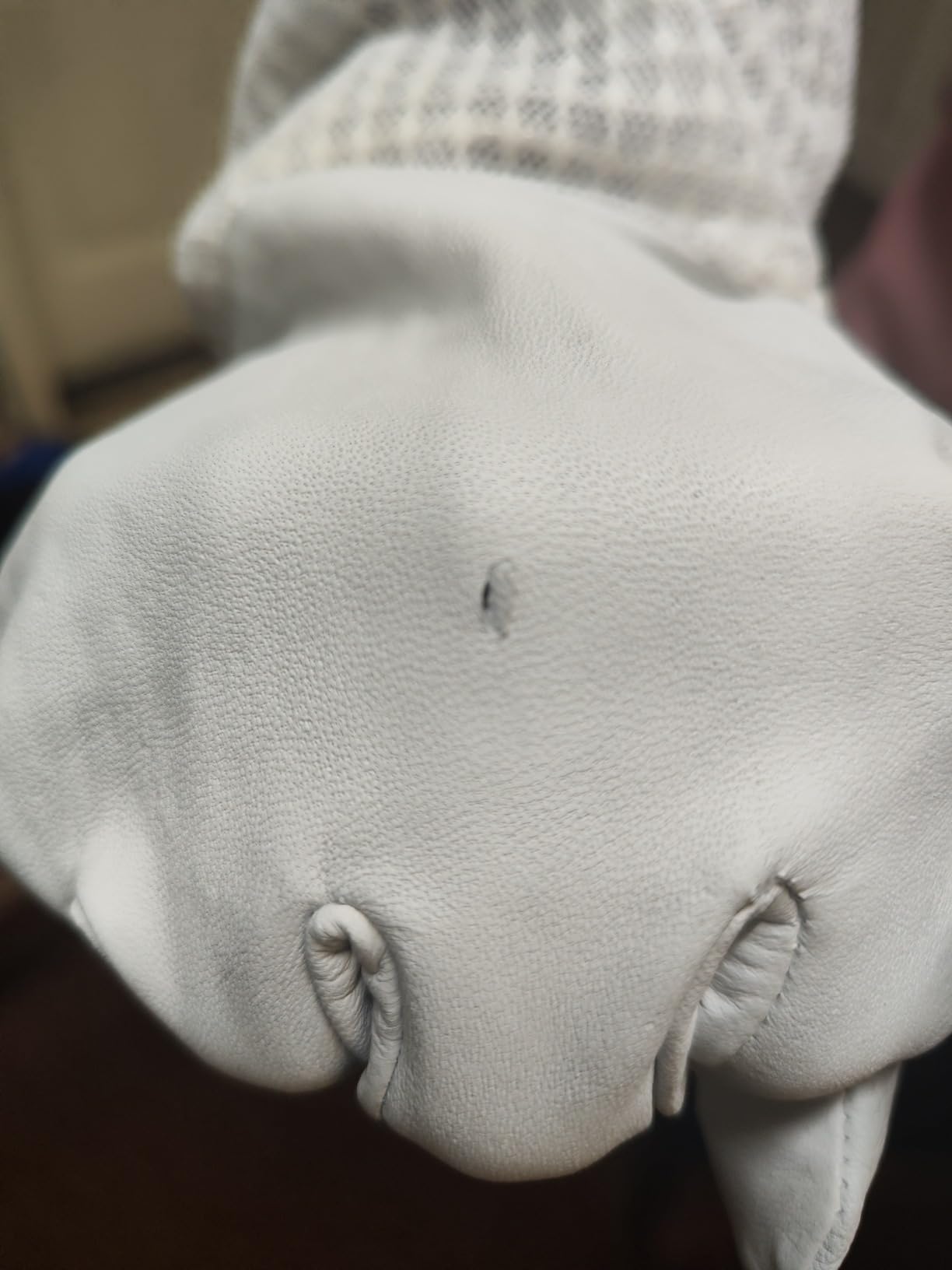 3 Layer Ventilated Sting Proof Bee Jacket for Men & Women, Premium Beekeeping Jacket with Gloves & Two Beekeeper Veils. (White J/XL) customer photo 1