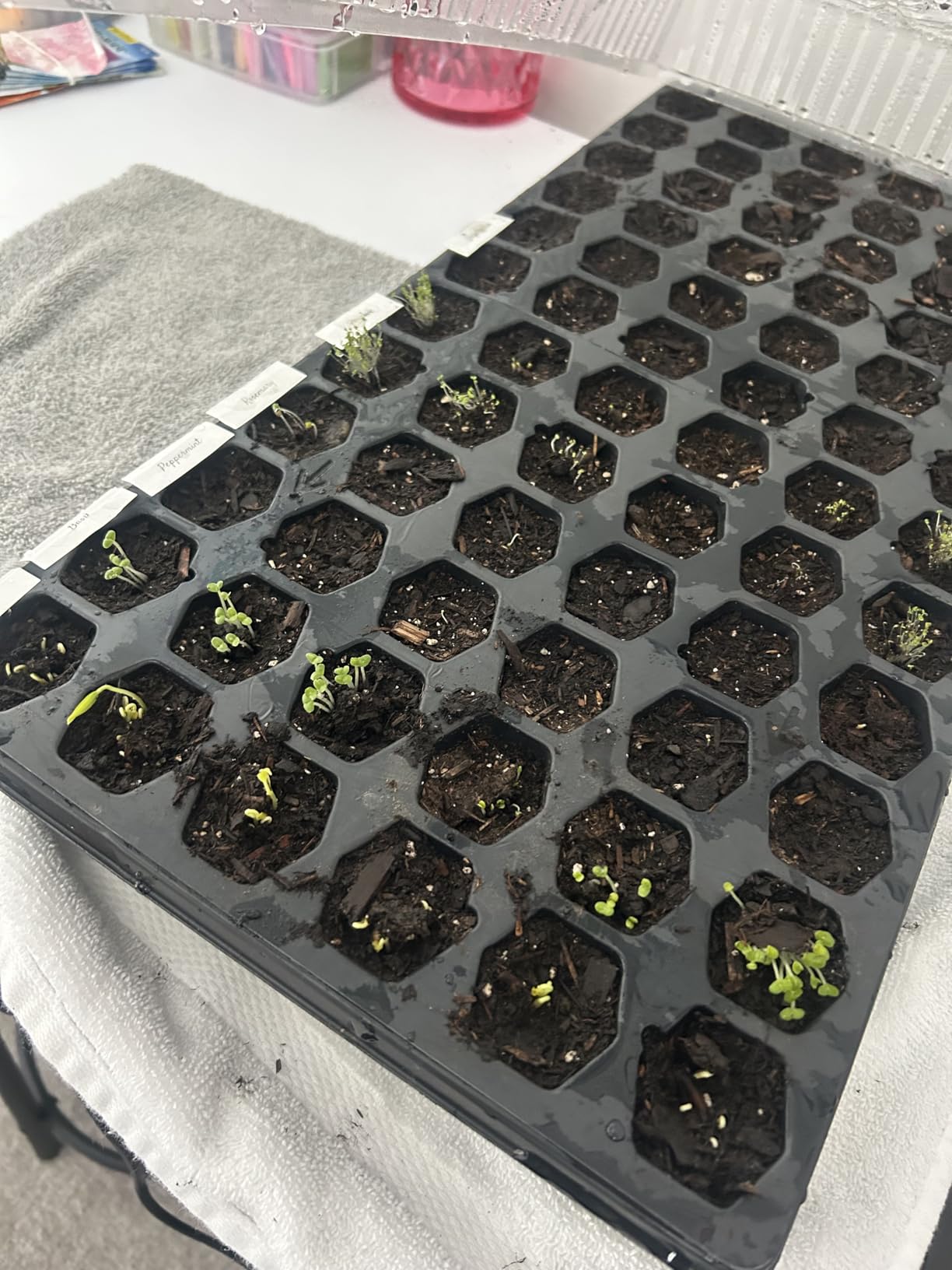 LOCONHA Seedling Heat Mat for Seed Starting, 10