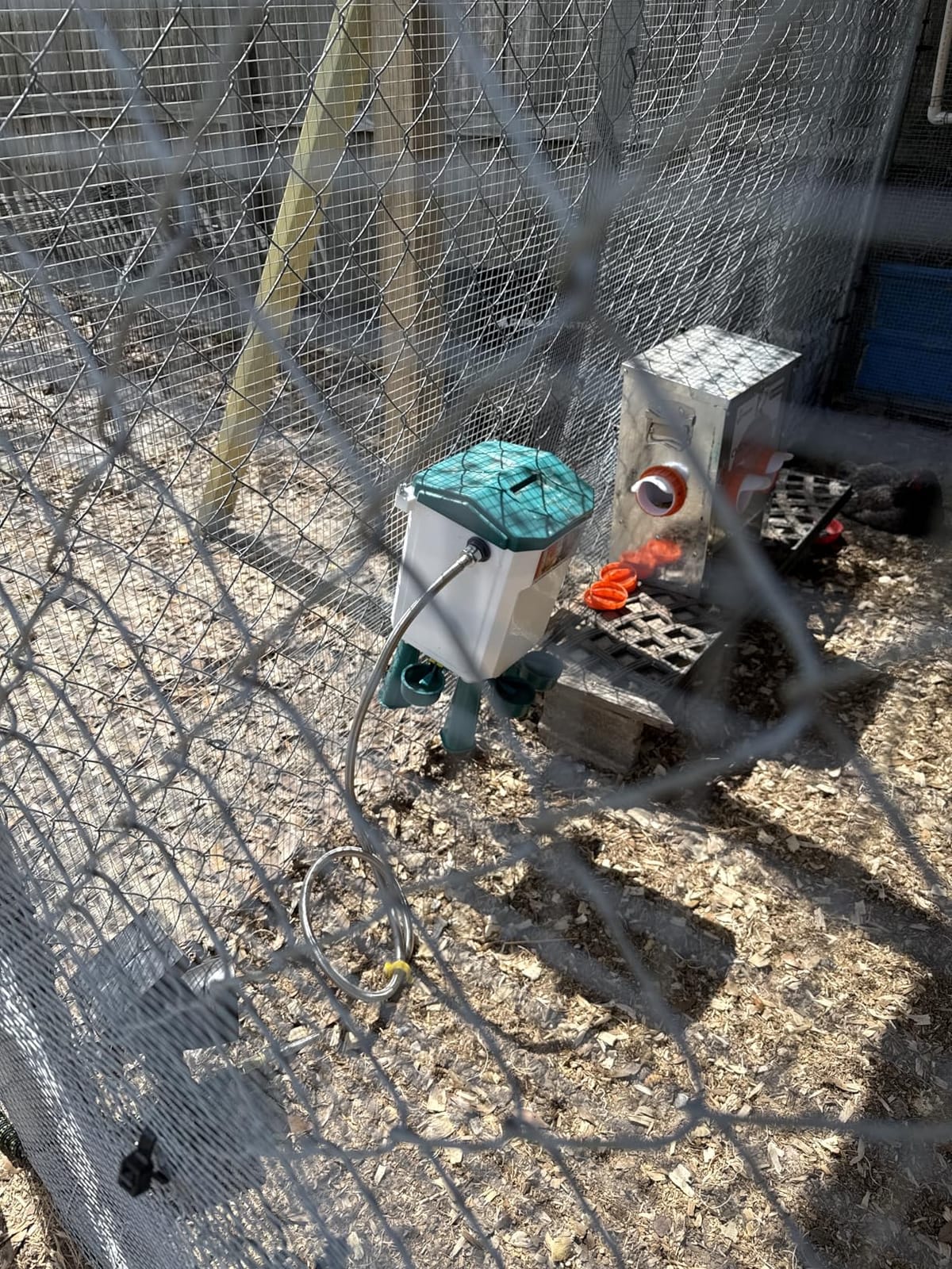 Lilyang Automatic Chicken Waterer, Auto Water Refills customer photo 2