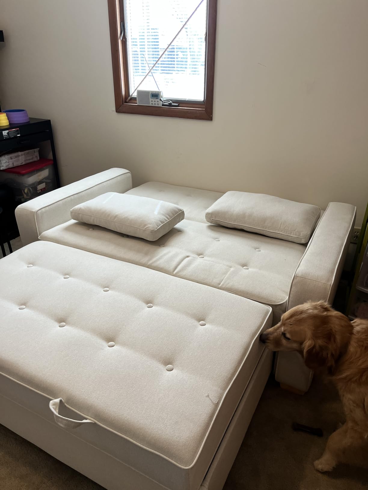 Serta Ainsley 66.5