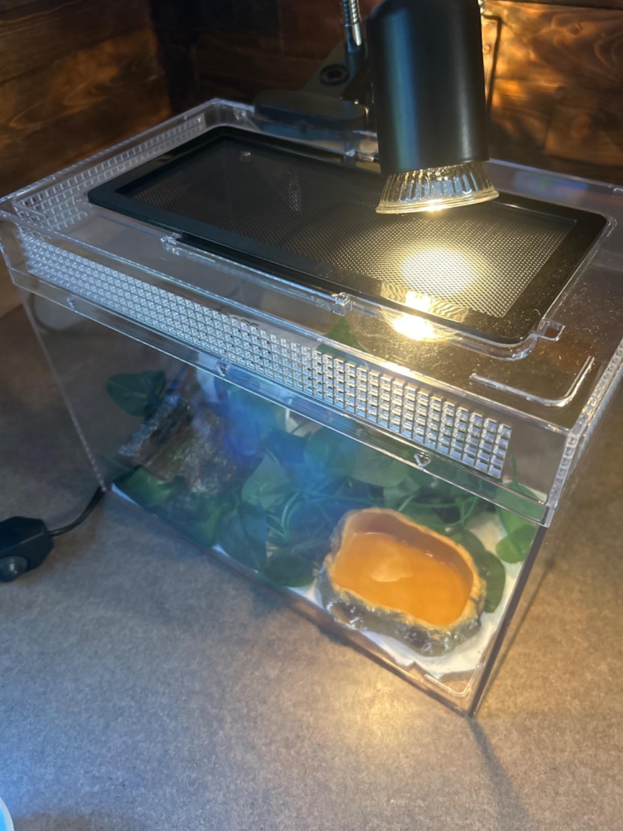 AZV Reptile Tank Starter Kit,8 Piece Escape Proof Hermit Crab Cage Small customer photo 1