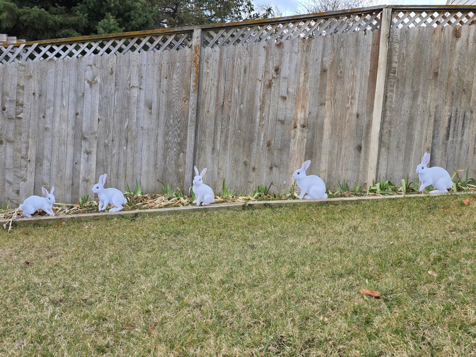 5 PCS 48 Inch Easter Yard Signs PP Safe Material Waterproof Outdoor Lawn Decorations with Stakes, Jumbo Funny Bunny and Egg Decor for Party Spring Garden Patio Holiday Display Supplies customer photo 1