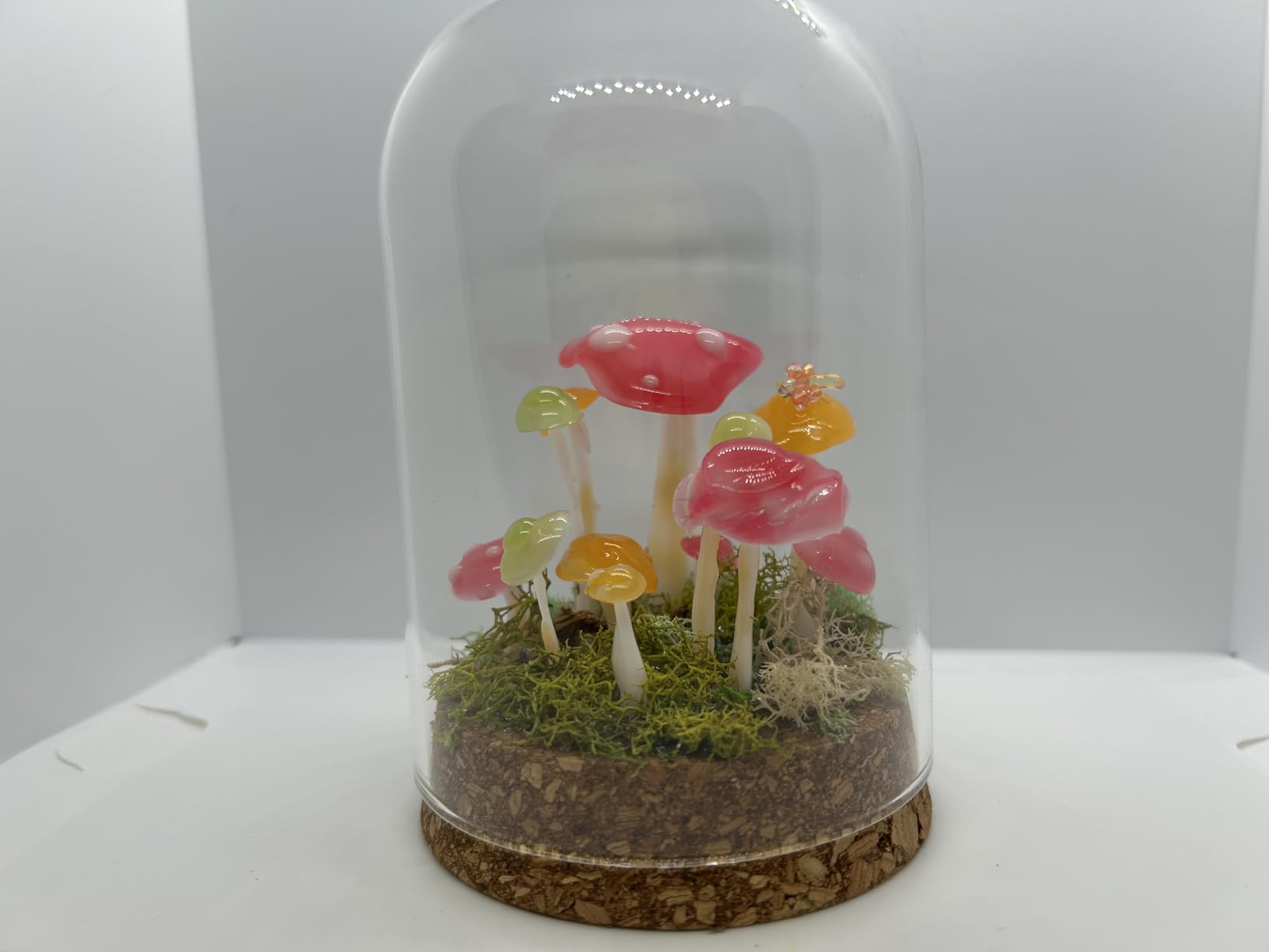 PH PandaHall 4pcs Cloche Glass Dome Clear Glass Display Dome with Cork Base Glass Decorative Jars Bottles for Display Collectibles Figurine Flower Storage Christmas Party Favor Decoration 3.15x5inch customer photo 1
