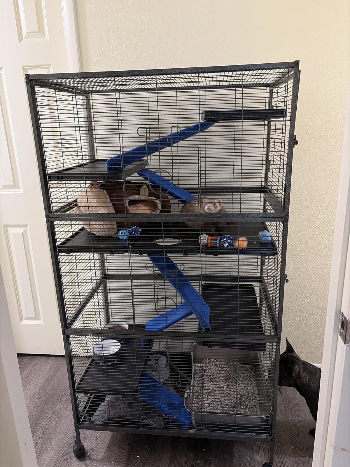 Polar Aurora Metal Small Animal Cage, 59