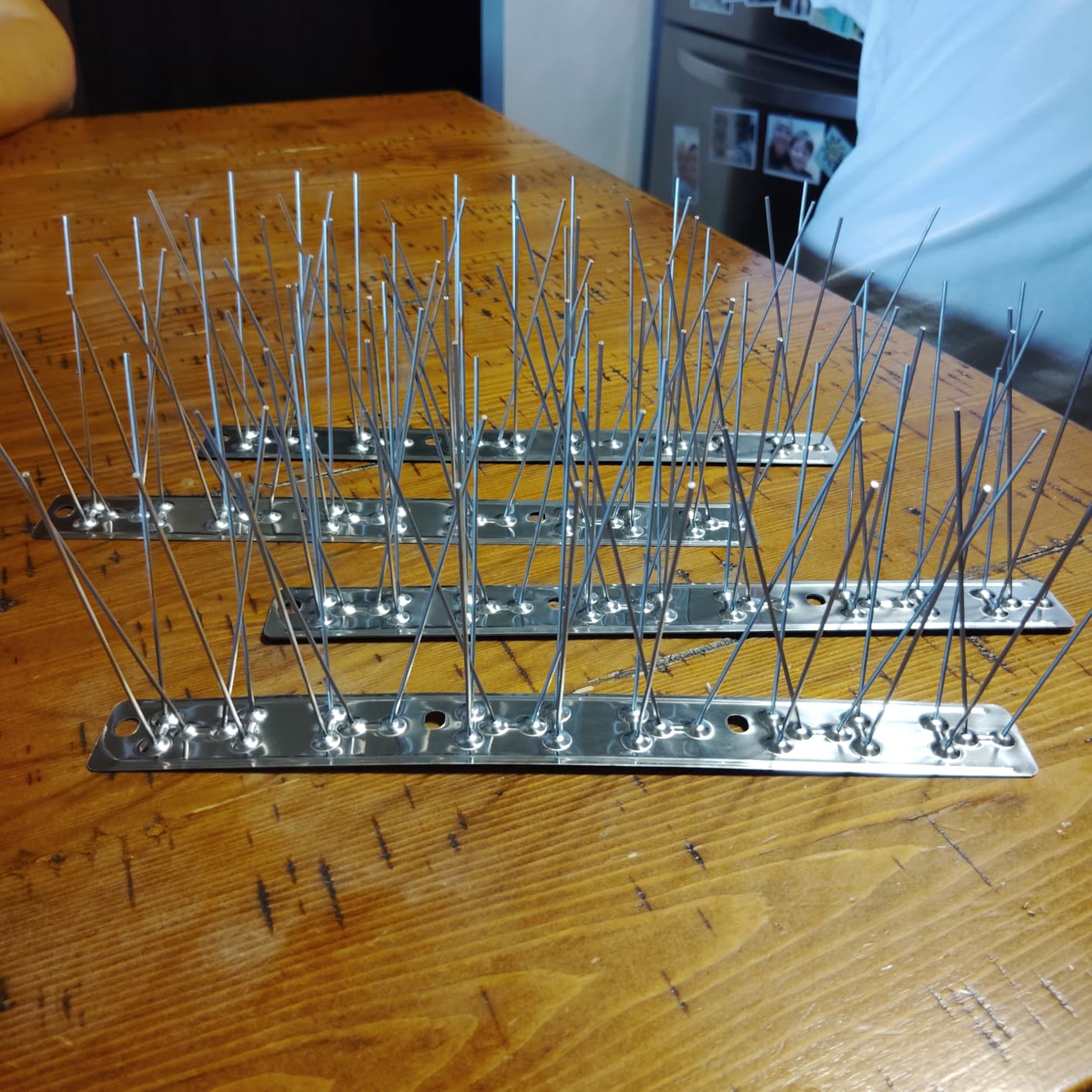 PANGCH Bird Spikes,Stainless Steel Bird Spikes Metal Bird Spikes Fence Spikes Easy to Install - 5 Strips 4.1 Feet Coverage customer photo 1