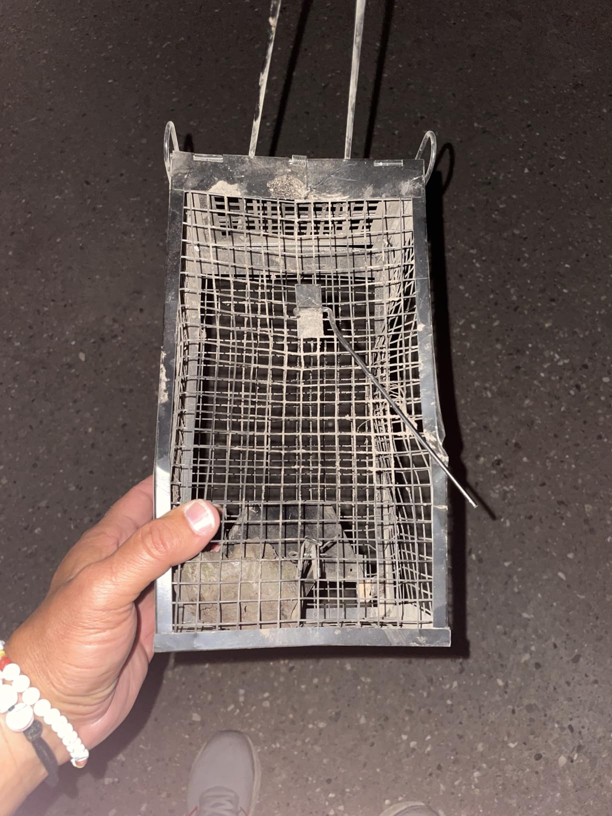 2 Packs Humane Live Mouse Rat Trap Rodent Chipmunk Traps Catch and Release customer photo 1