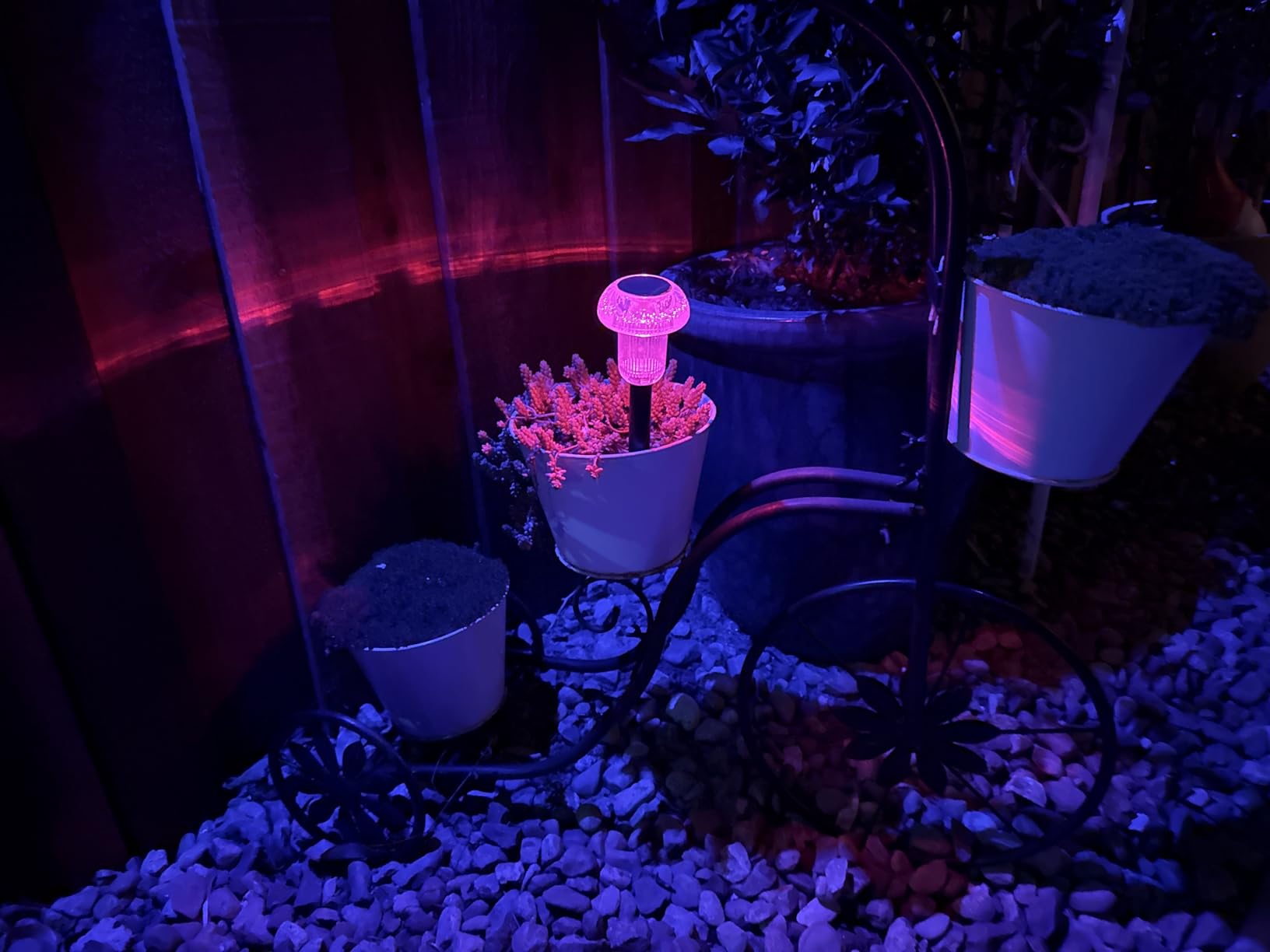 Priddop Solar Lights Outdoor Waterproof 8 Pack Garden Decor Color Changing customer photo 2