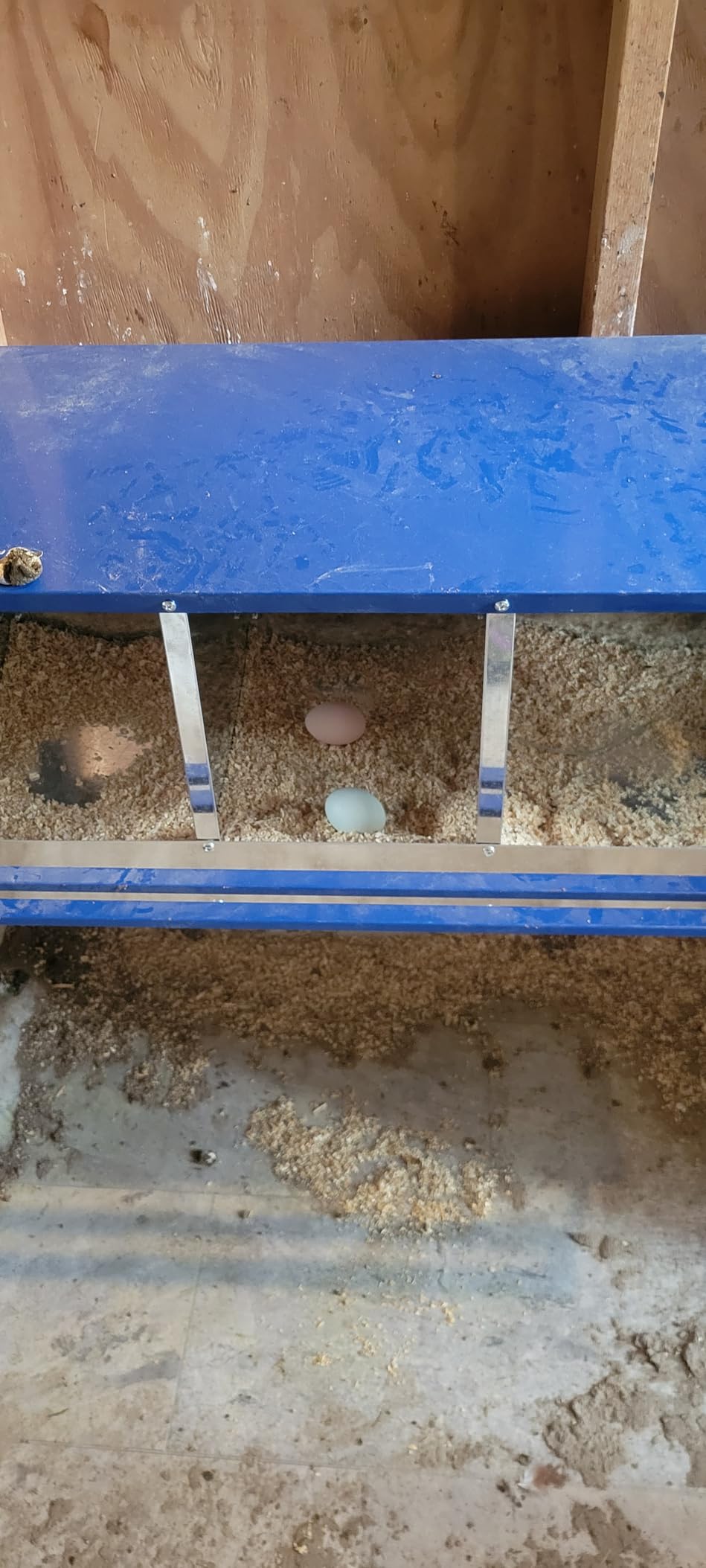 Chicken Nesting Box for Laying Eggs 3 Holes Metal Nest Box for Chicken Hens Ducks Poultry Protect Eggs Chicken Coop Easy Egg Collection Wall Mount Nest Box for Chicken Coop customer photo 2