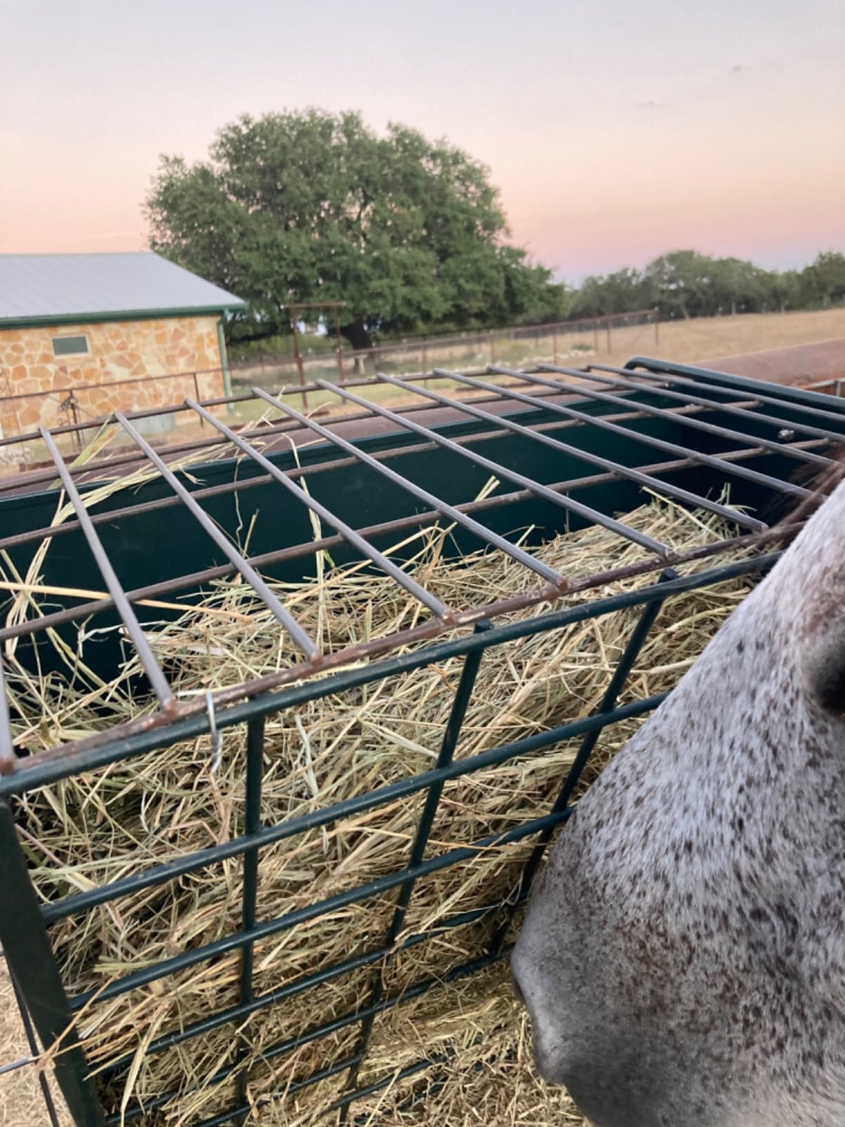 Wall Mount Hay Rack, Metal 2 in 1 Hay and Grain Feeder customer photo 1