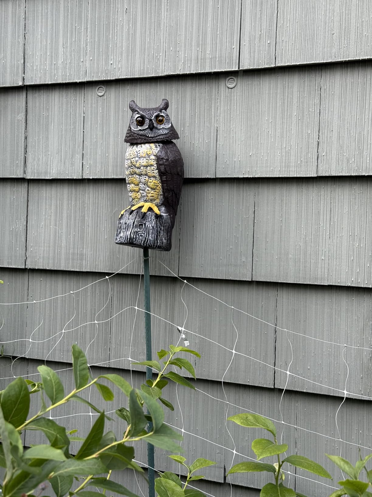 GIFTEXPRESS 1Pcs Solar Power Owl Decoy – 17