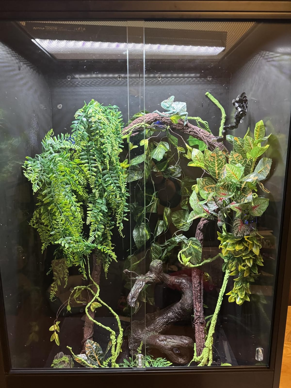 REPTI ZOO 67 Gallon PVC Tall Reptile Tank, 24 x18x36 inch Large Reptile Terrarium for Gecko Lizard Chameleon Frog Snake, Enclosure Habitat with Sliding Door & Top Screen Ventilation customer photo 2