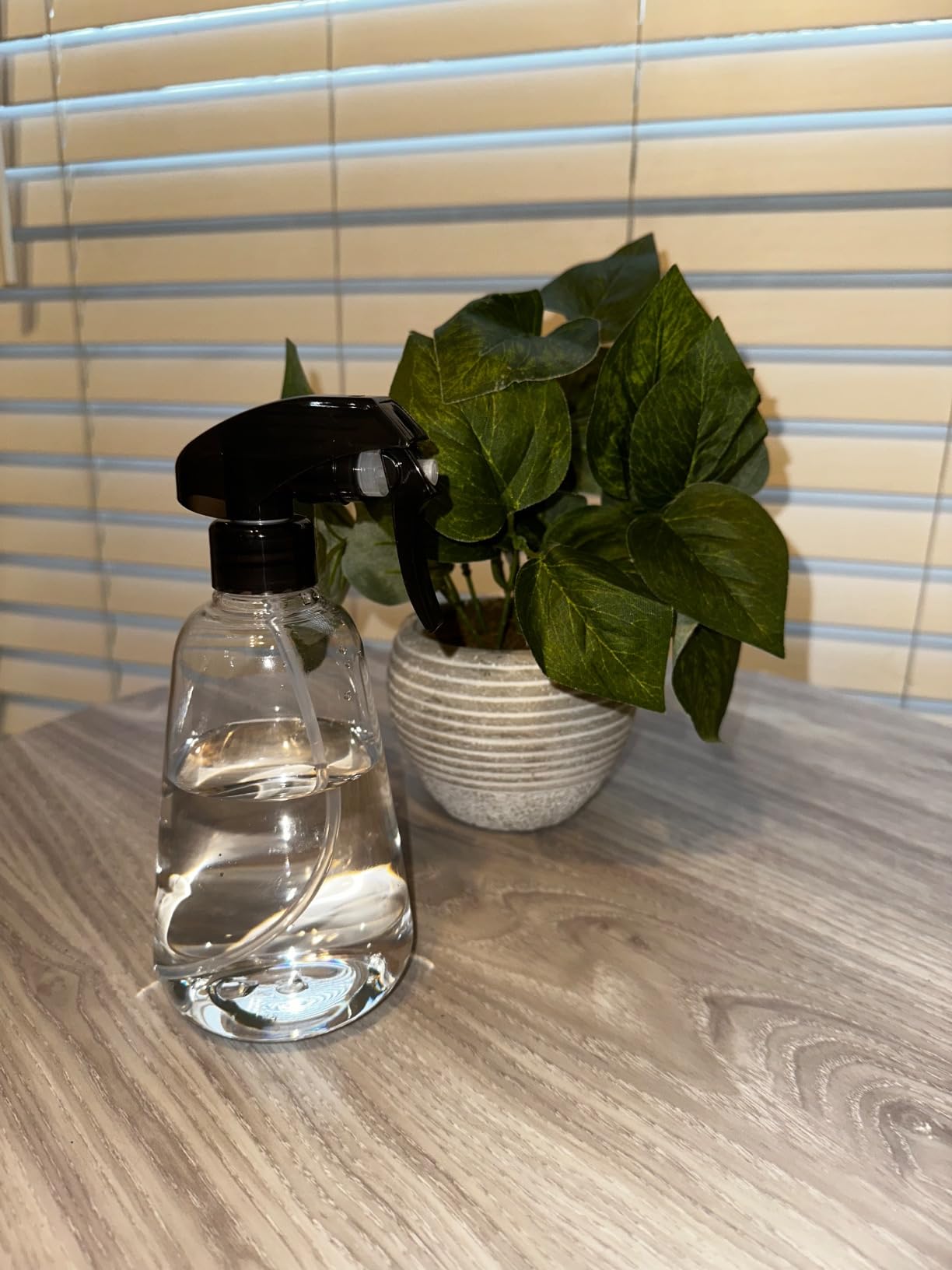 Spray Bottle for Plants 2 Pack, 16oz - Ultra Fine Mist, Plant Mister Indoor | Empty Spray Bottles, Leak Proof Misting Water Sprayer for Gardening, Planting, Hair, Cleaning Solutions - Funnel Included customer photo 2