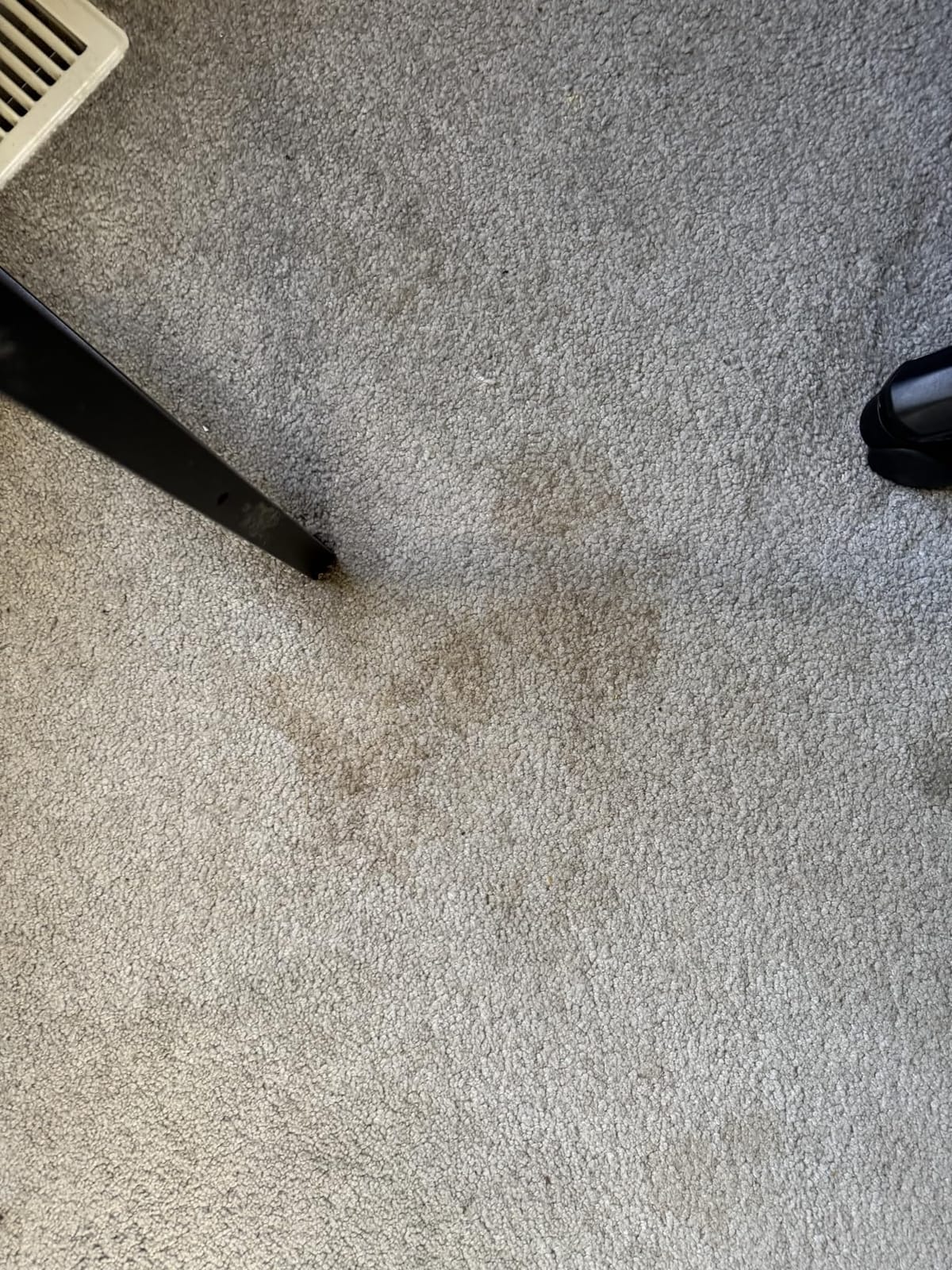 Carbona 2-in-1 Oxy-Powered Carpet Cleaner (13.5 Fl Oz), Spot Cleaner with Dual Sponge & Bristle Applicator for Targeted Cleaning, Fast Formula customer photo 1