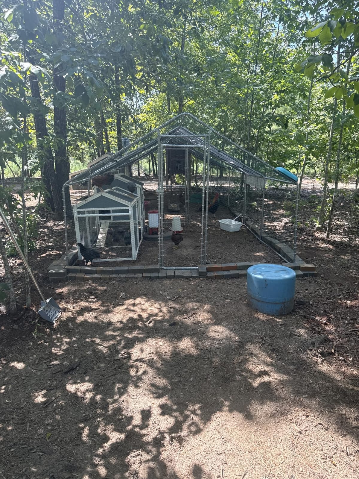 Outvita Chicken Coop, 19.5×10 FT Large Metal Chicken House, Poultry Habitat Cage with Waterproof Cover, Walk-in Chicken Run Pen for Small Animals, Yard, Farm, Patio customer photo 2
