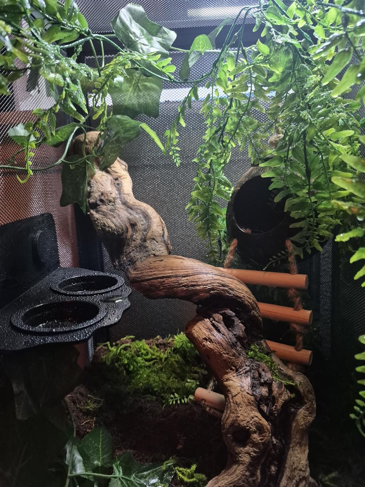 RunDuck Foldable Reptile Terrarium Kit, 13 Gallon 18