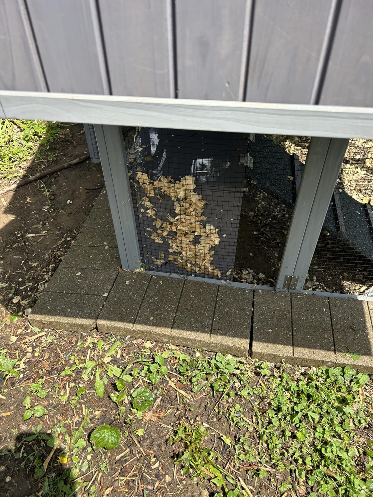 Aivituvin Chicken Coop Double Folding Fir Wood Chicken House with Large Nesting Box Poultry Cage Upgrade with Strong Iron Frame, Durable & Waterproof for 4-6 Hens Duck Coop customer photo 2