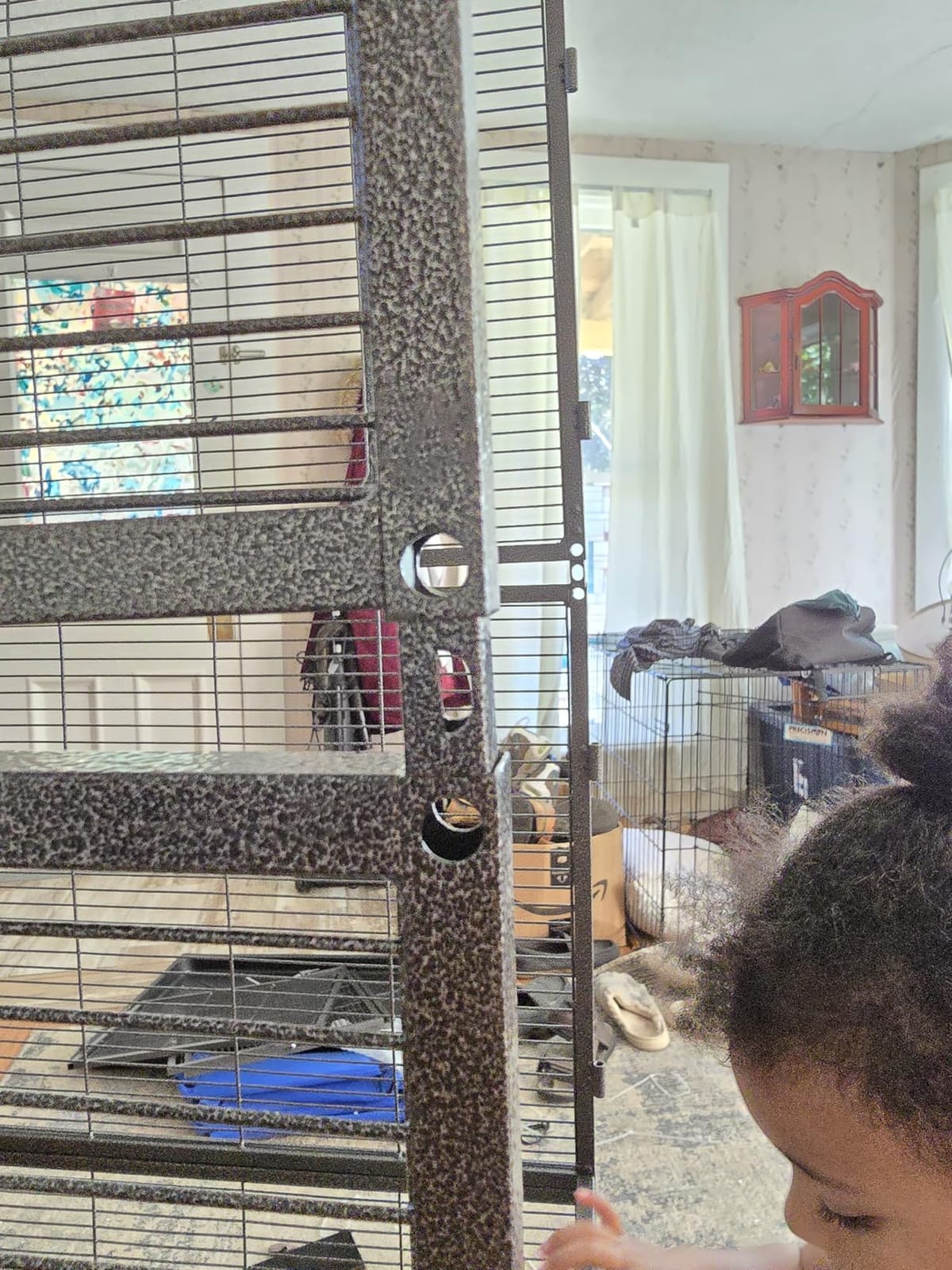 Metal Small Animal Cage 6-Tier Ferret Sugar Glider Cage for Chinchillas/Guinea Pig/Rabbit/Large Hamste Rolling Critter Nation Cage with Flannel ramps, Removable Tray,6 Doors Easy Clean customer photo 1