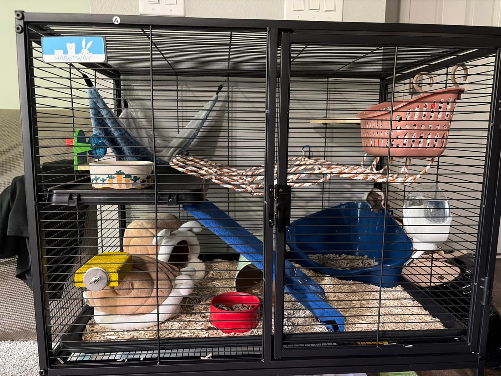 HABUTWAY 36.5''H Large Metal Rolling Ferrets Cage, 2-Tiers Small Animal Cages, Cage for Rats/Chinchillas, 0.5'' Bar Spacing for Ferret,Small Animal Cage w/Removable Ramp & Platform customer photo 2