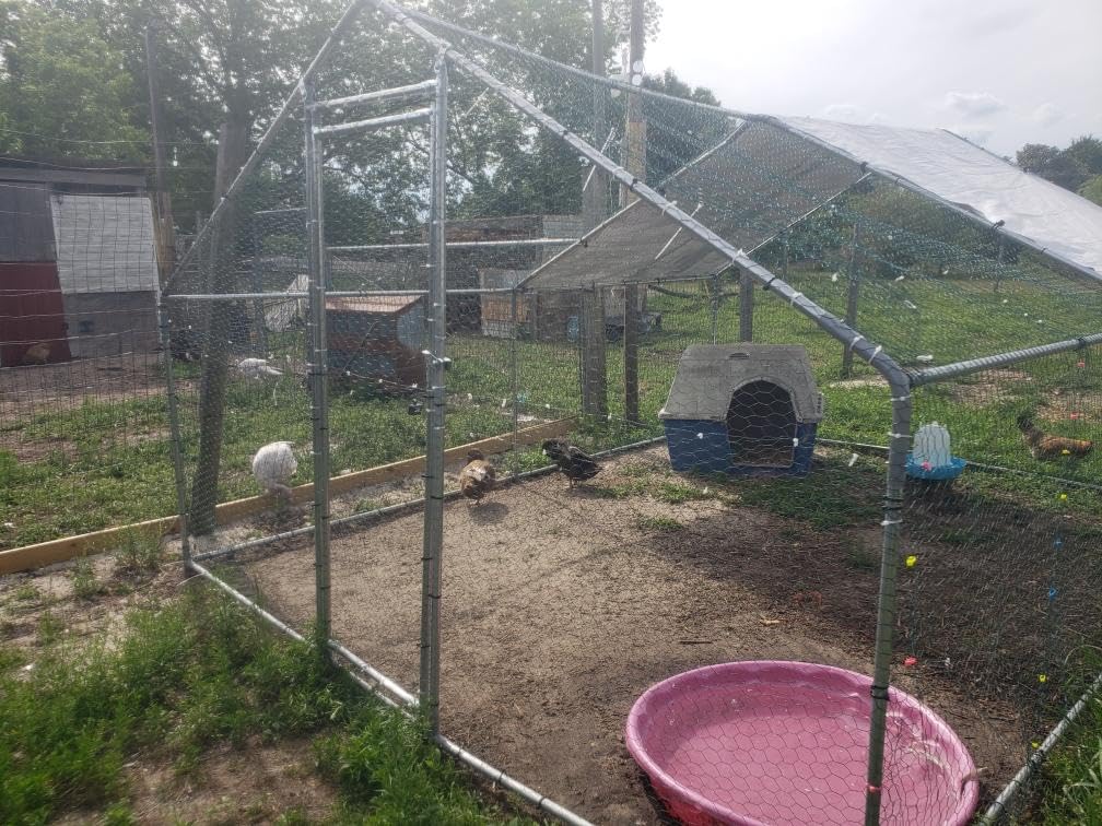 HEYTOWN Large Metal Chicken Coop Chicken Pen with Water-Resident and Anti-UV Cover Walk-in Poultry Cage Chicken Runs for Yard with Cover Duck Rabbit Dog House Outdoor customer photo 1