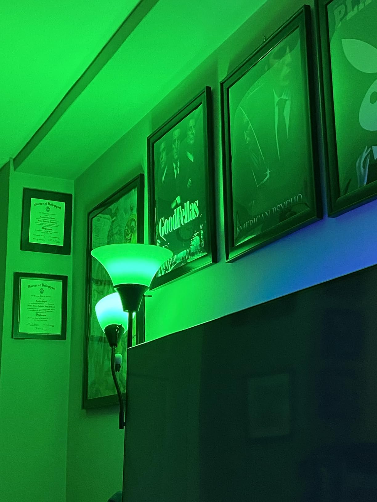 WiZ Connected Smart Light Bulbs, Sunset to Sunrise Automation + Motion Detection + Control with Voice or App, Full Color A19 60W 800LM Indoor, Matter Compatible -3 Pack customer photo 2