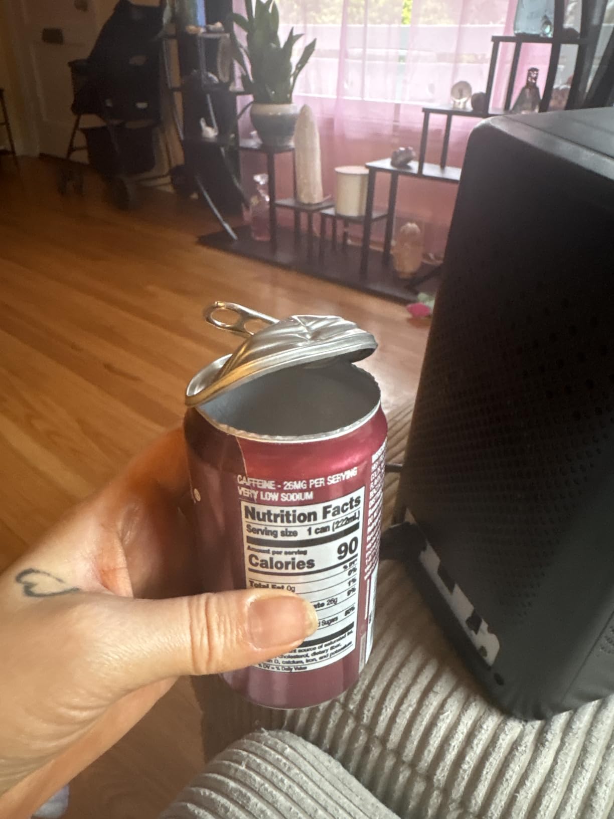 AstroAI 2.0 Gen 6L/8 Cans Mini Fridge, Cooler & Warmer, 110V AC/12V DC customer photo 2