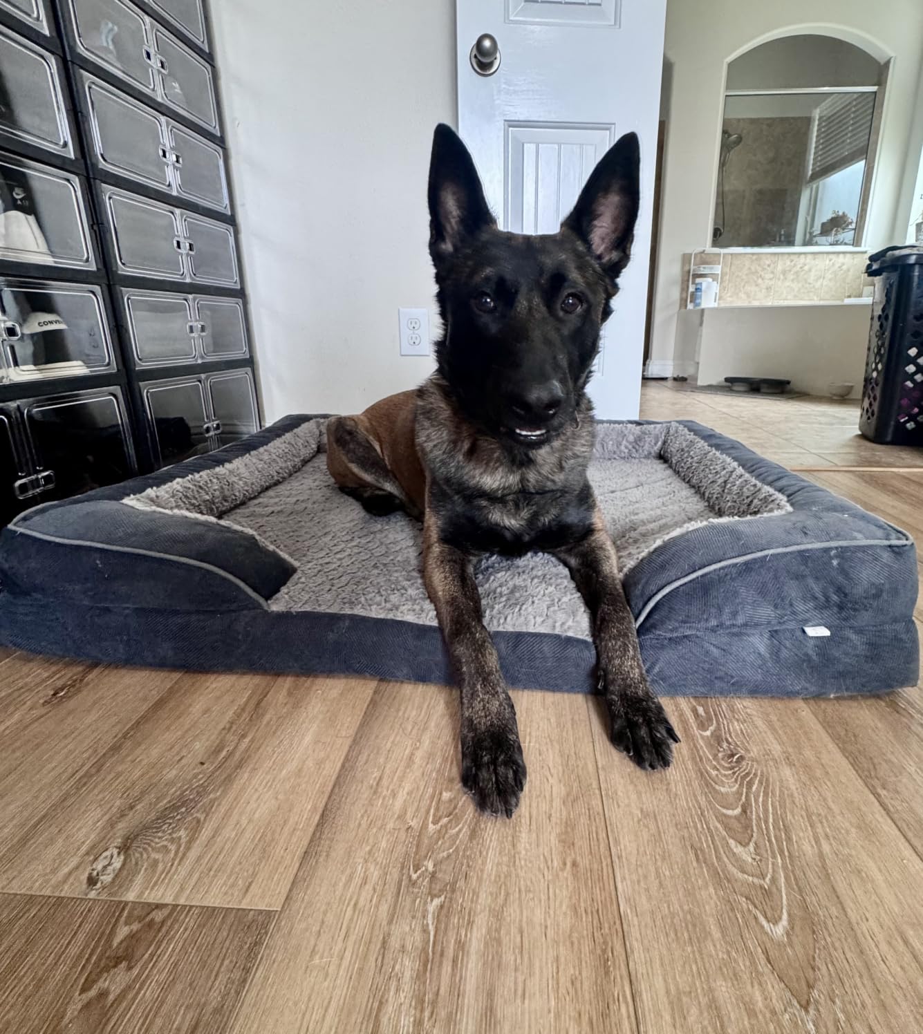 INVENHO Orthopedic Dog Beds Large Sized, XL Washable Dog Sofa with Egg-Crate Foam, Waterproof Lining and Non-Skid Bottom customer photo 1