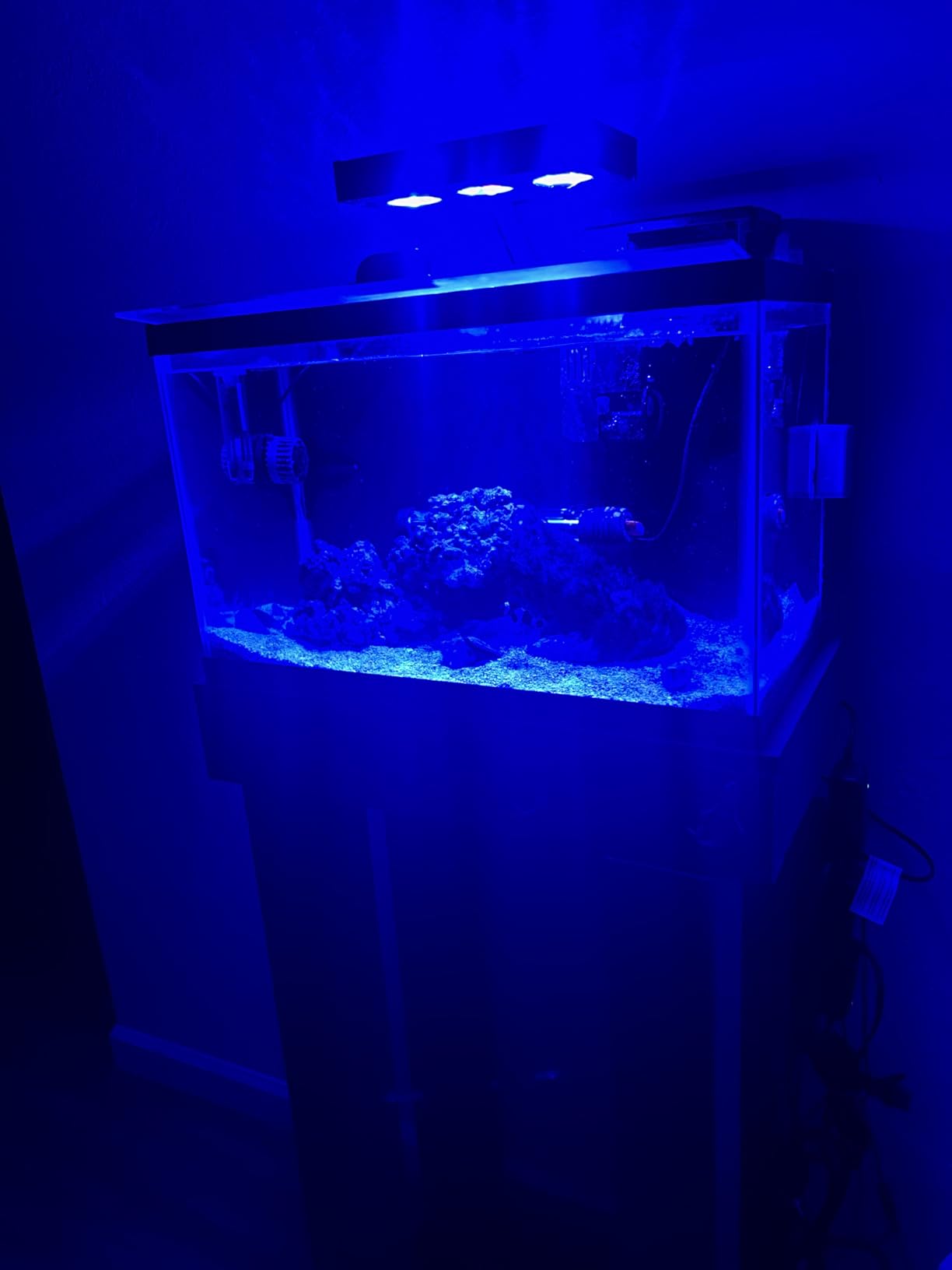 A036 5rd Reef Tank Light 36 Watts Saltwater Light with Touch Control, Reef Lights for Coral Reef Nano Fish Tank Marine Tanks with Timer & Screen customer photo 1