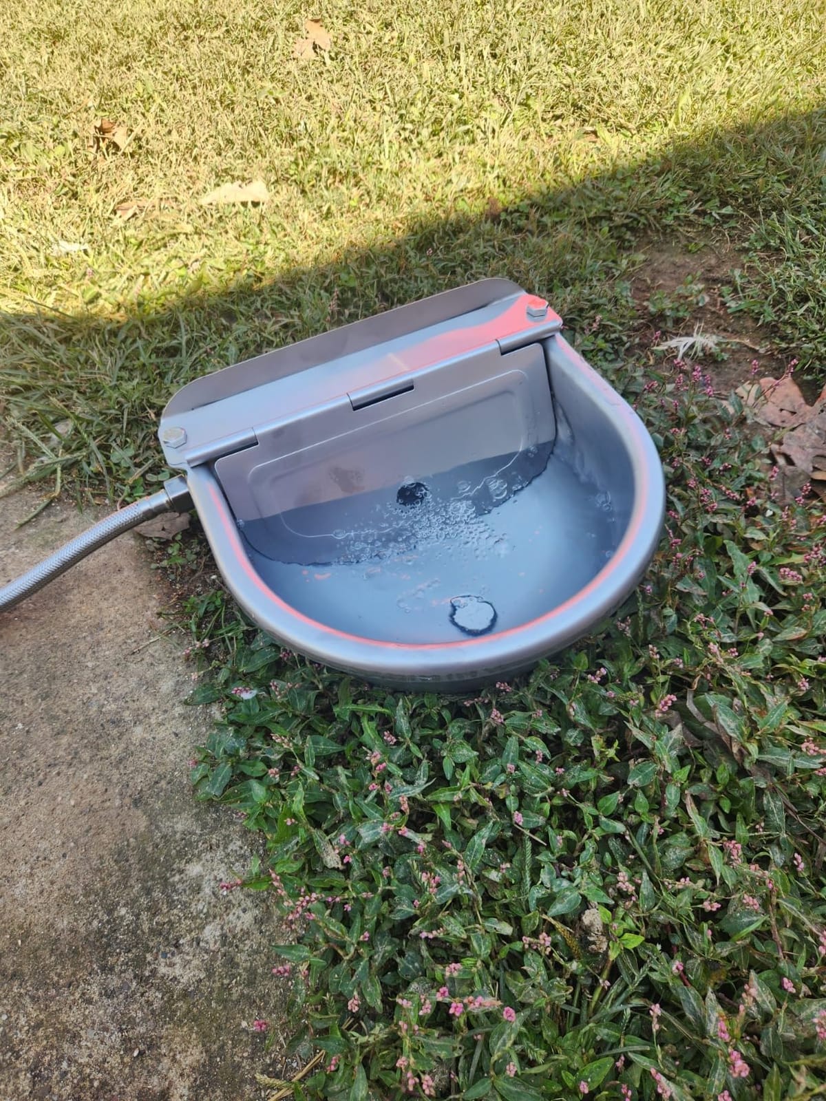Automatic Water Dispenser for Chicken, 304 Stainless Steel Outdoor Auto Fill Waterer Bowl Self Refilling Watering System with 2 Float Valves and Drainage Hole for Chicken,Duck,Poultry customer photo 1