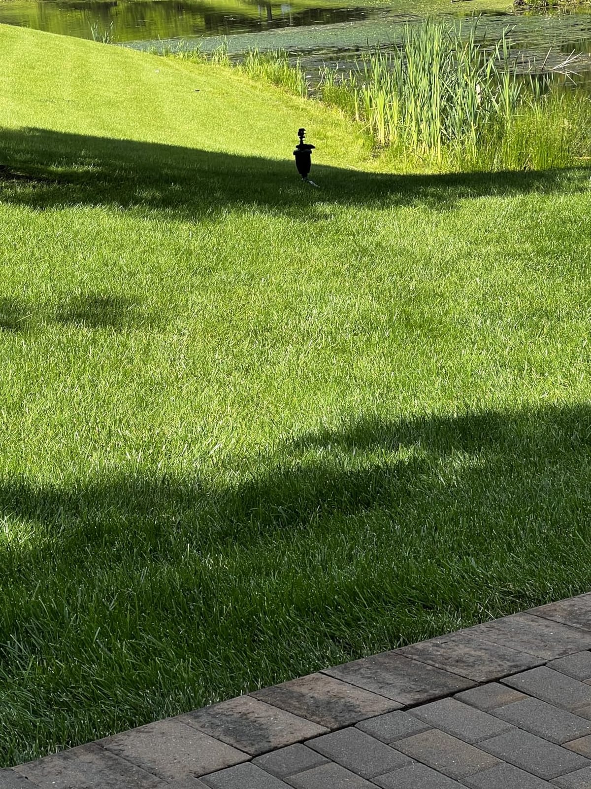 Motion Activated Sprinklers for Yard - Effective Deer & Cat Repellent, Skunk Deterrent, Raccoon & Dog Repellent, Lawn Sprinkler System, Water Sprinkler for Lawn Protection customer photo 2
