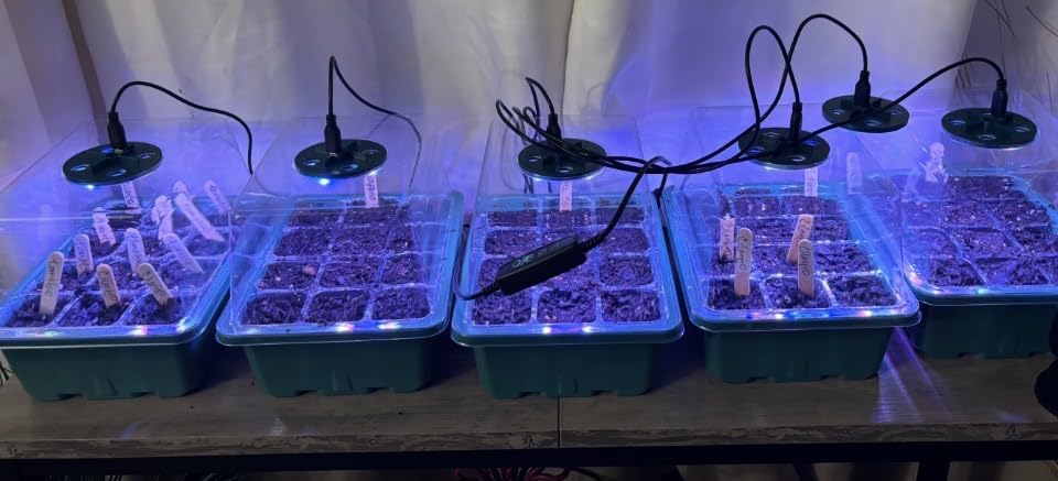 Bonviee 5-Pack Seed Starter Trays, Humidity Dome, Base, 12-Cell Tray, Green customer photo 1