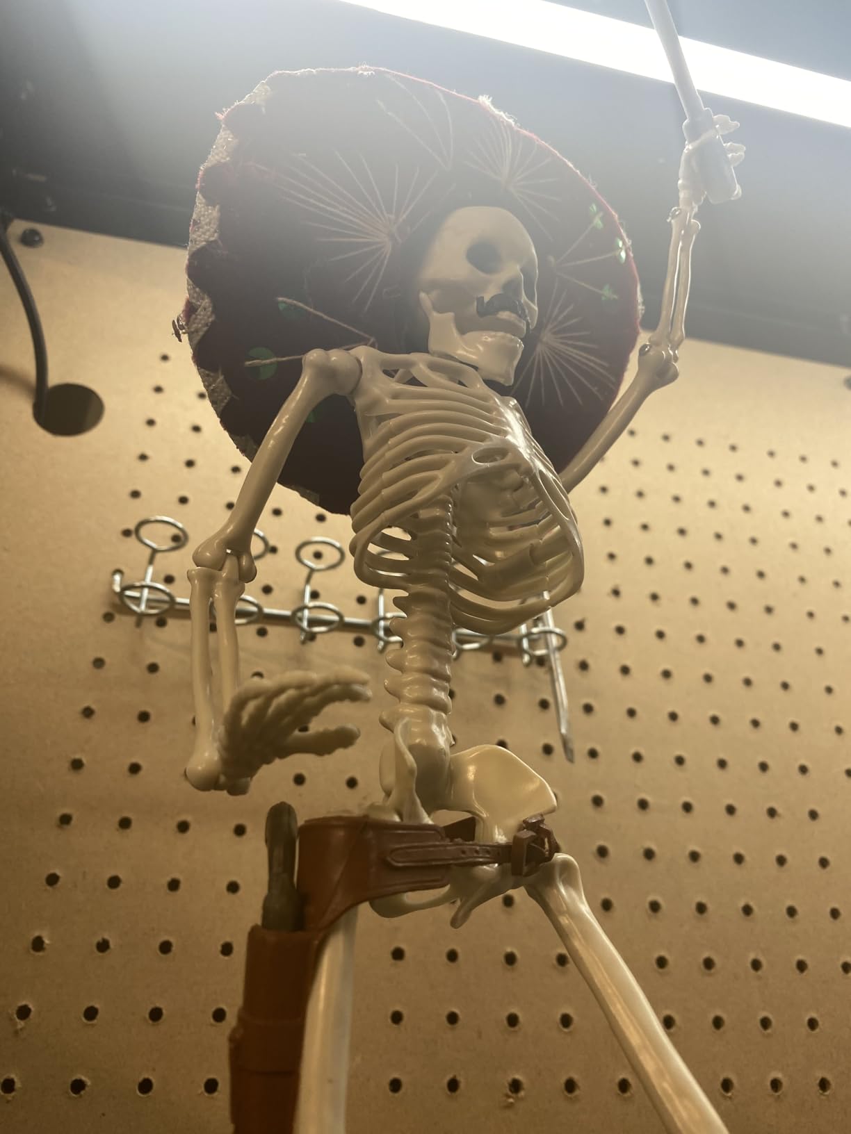 5.4Ft Posable Halloween Skeleton with Dog Cat Skeleton for Halloween Decor | Full Body Life Size Human Bones with Movable Joints customer photo 2