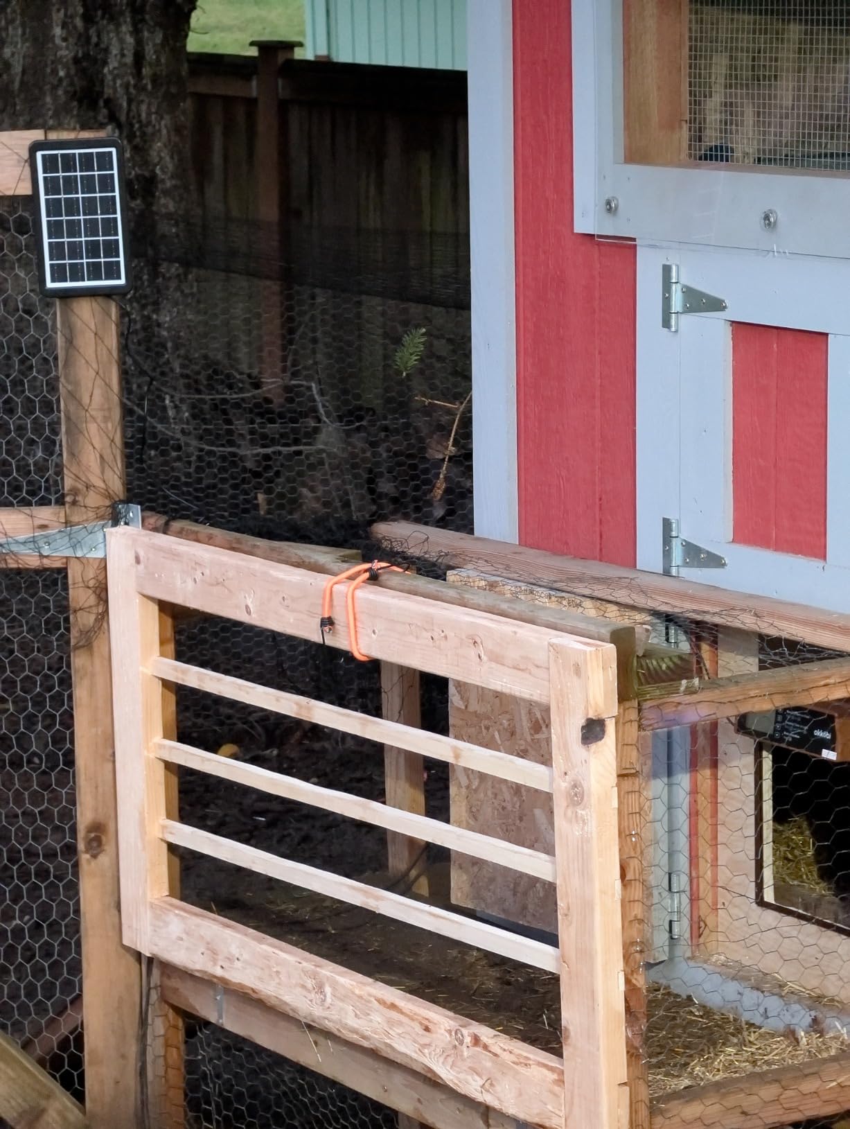 Chicken Coop Door, Solar Powered Automatic with LCD Display, Light Sensor customer photo 1