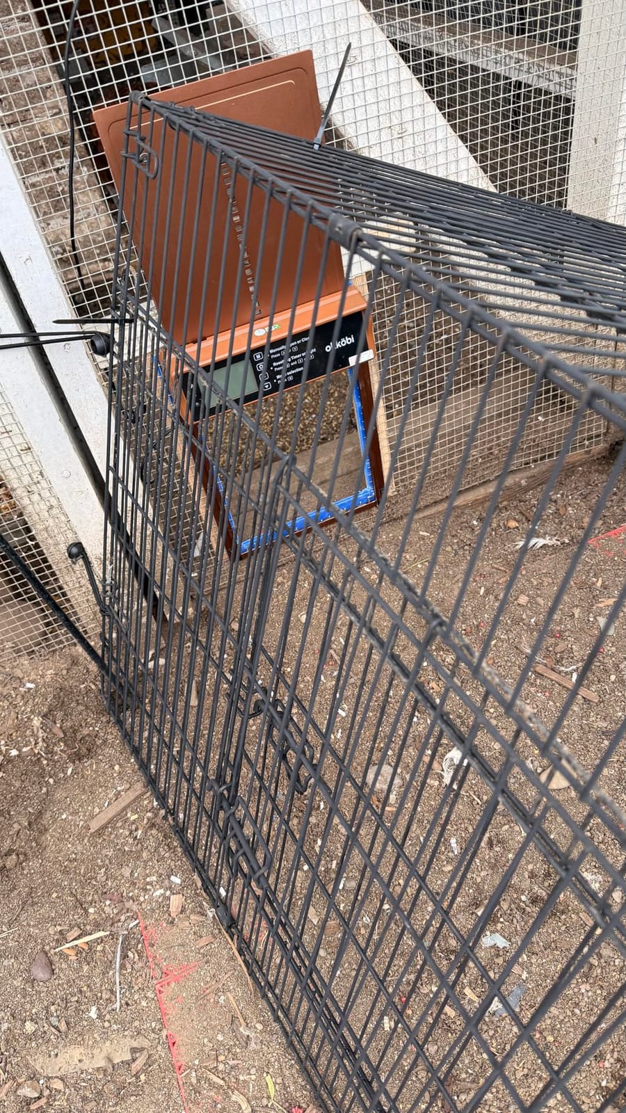 Chicken Coop Door, Solar Powered Automatic with LCD Display, Light Sensor customer photo 2