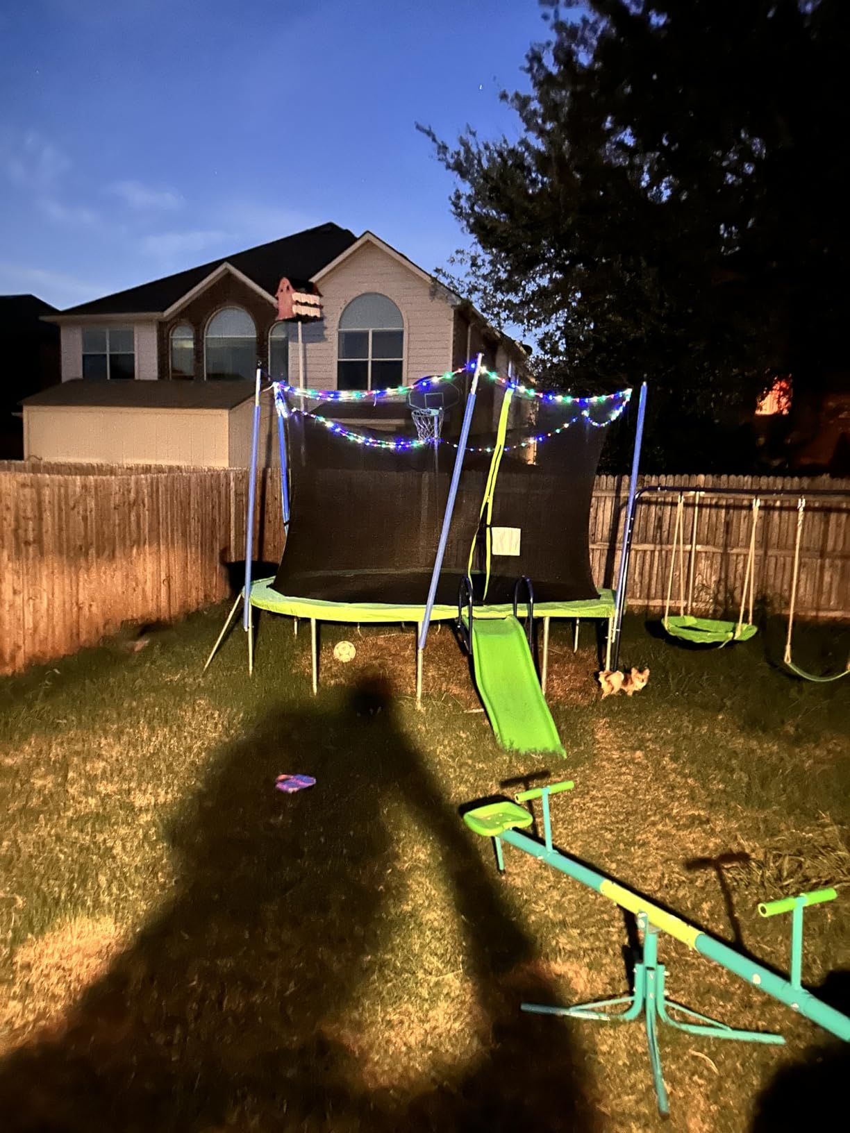 Amictoy Teeter Totter for Kids, 360° Spinning Seesaw, 100 lb Seat customer photo 1
